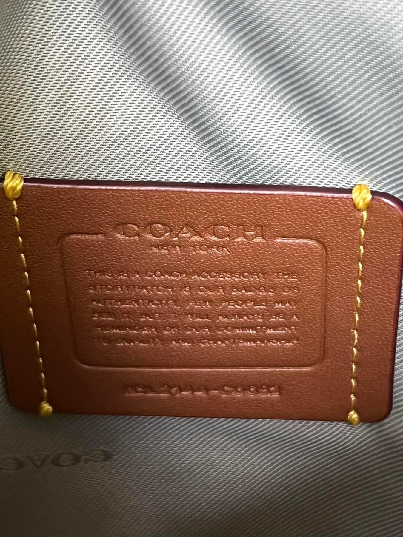 Coach Charter North/South Crossbody With Hybrid Pouch In Colorblock