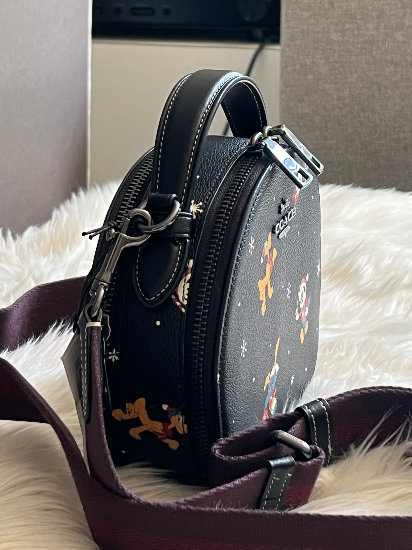 Disney X Coach Canteen Crossbody with Holiday Print