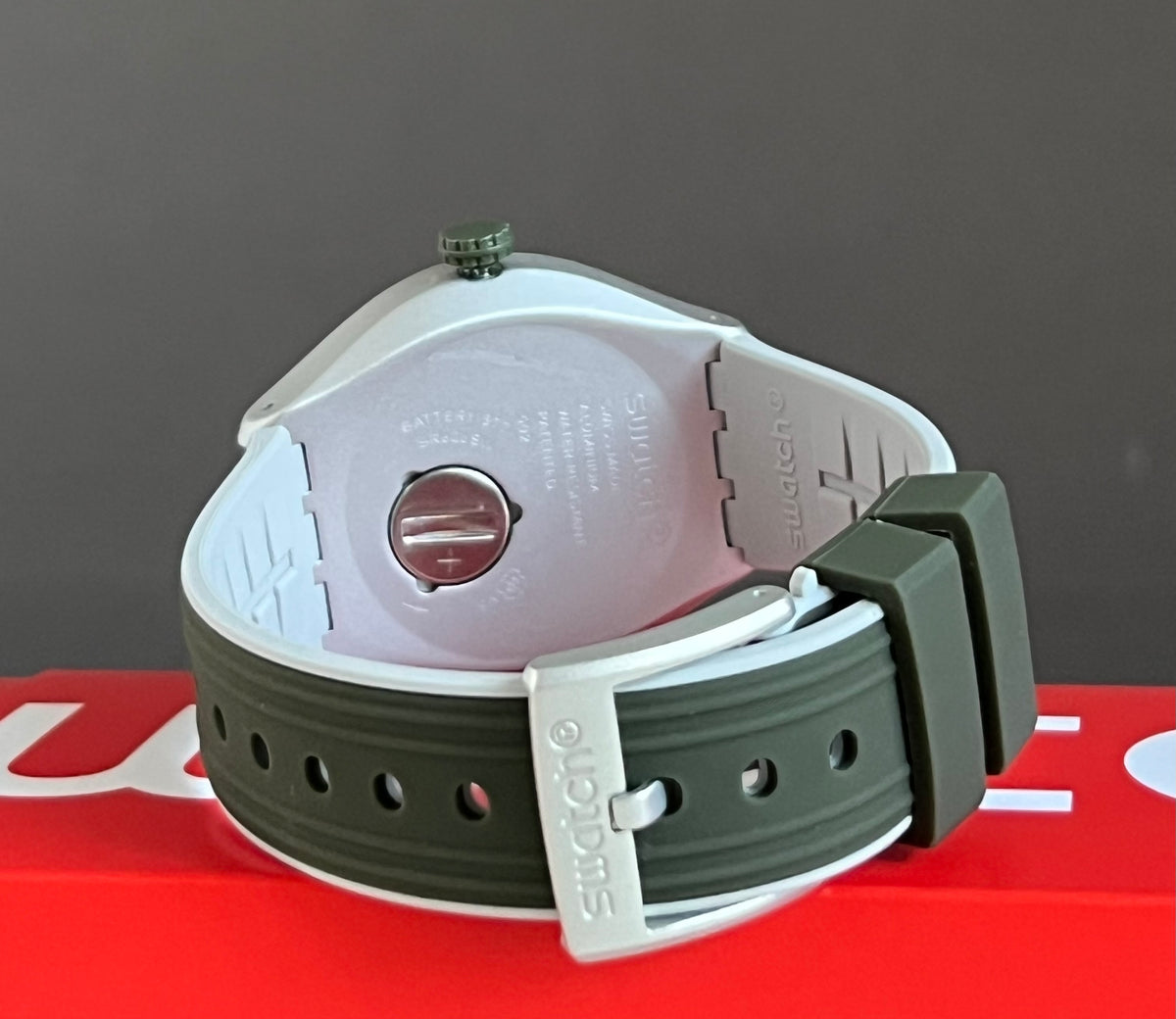 Swatch Go Climb Watch