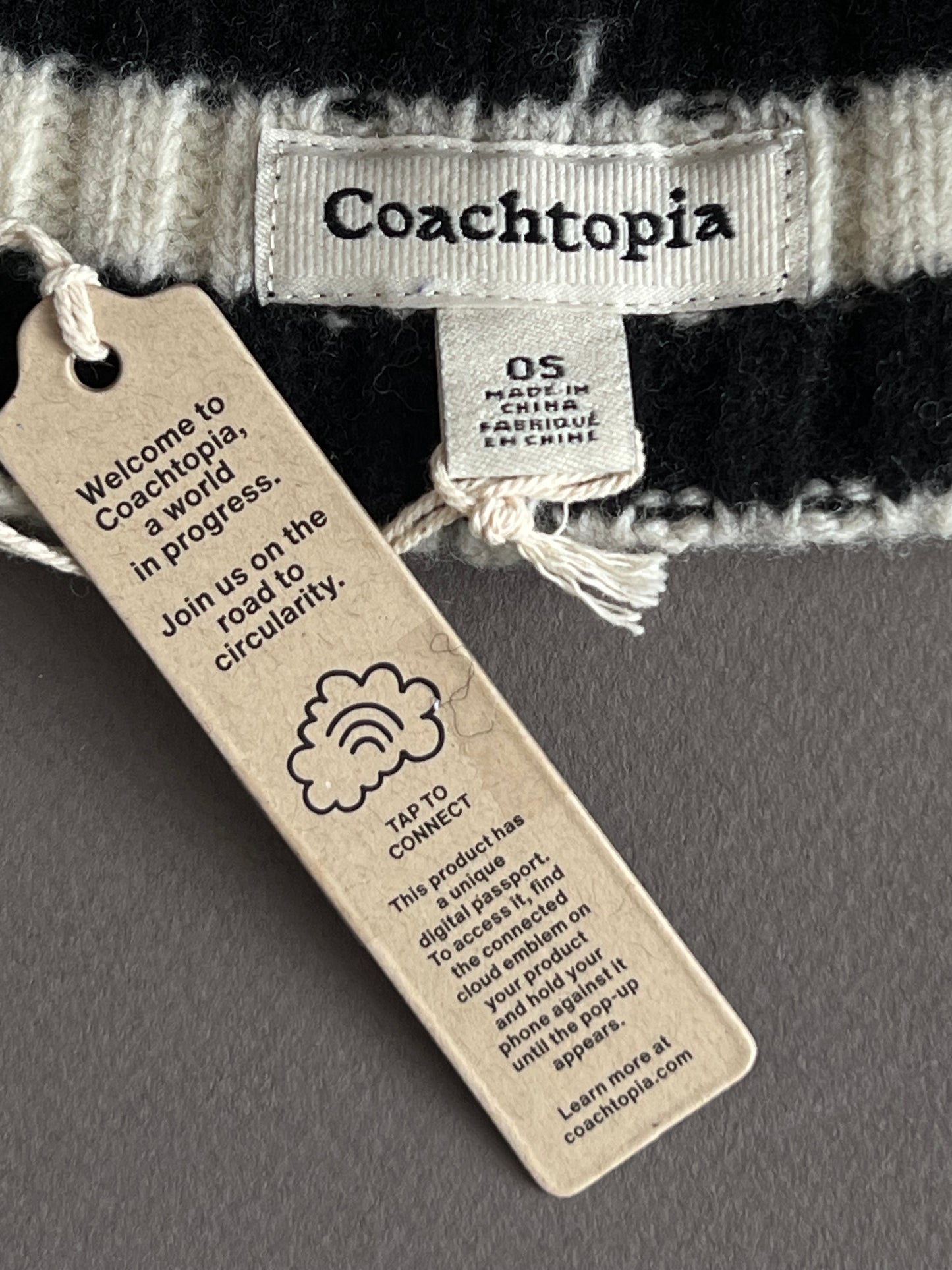 Coach Beanie with Stripe Pattern