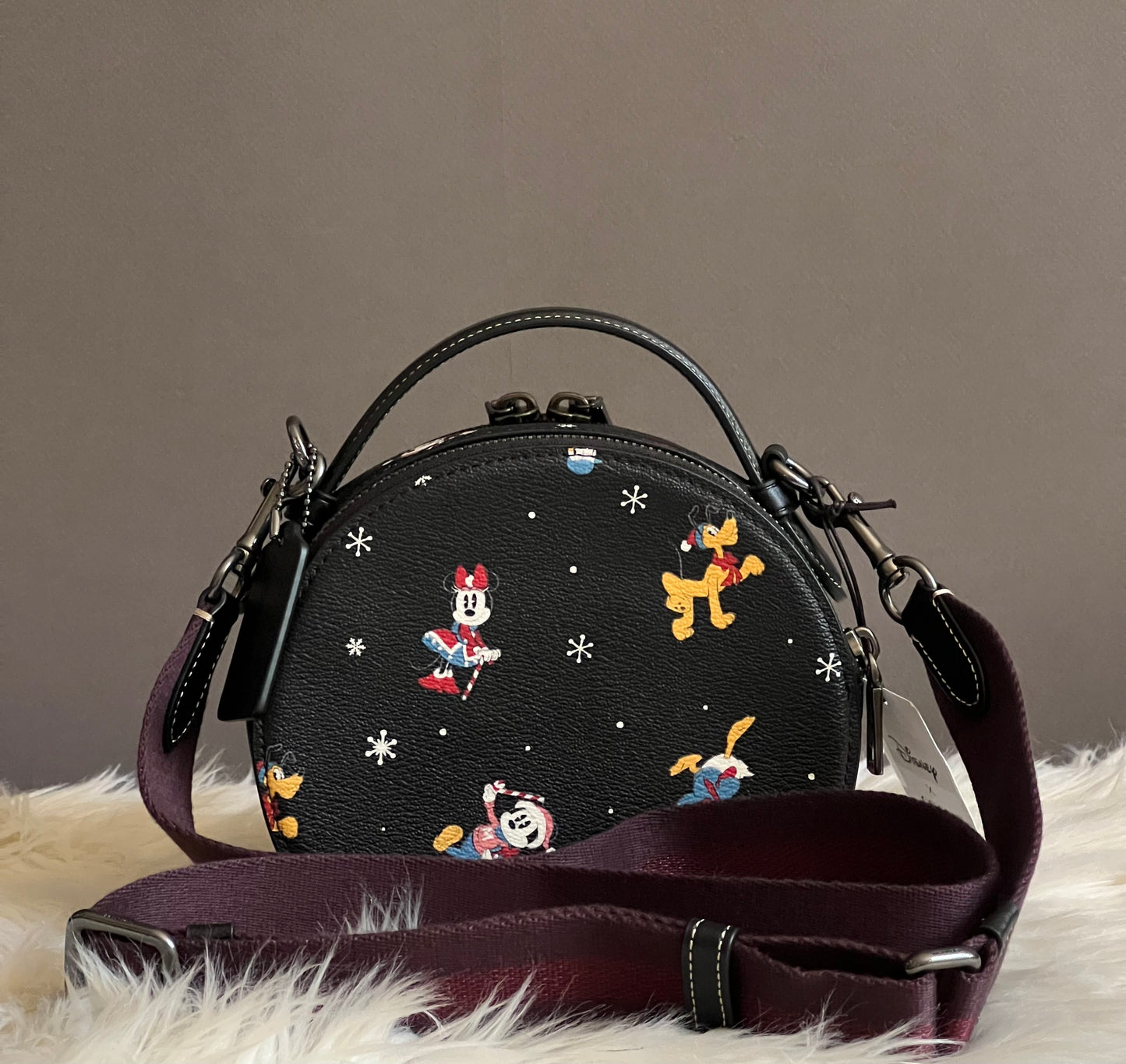 Disney X Coach Canteen Crossbody with Holiday Print