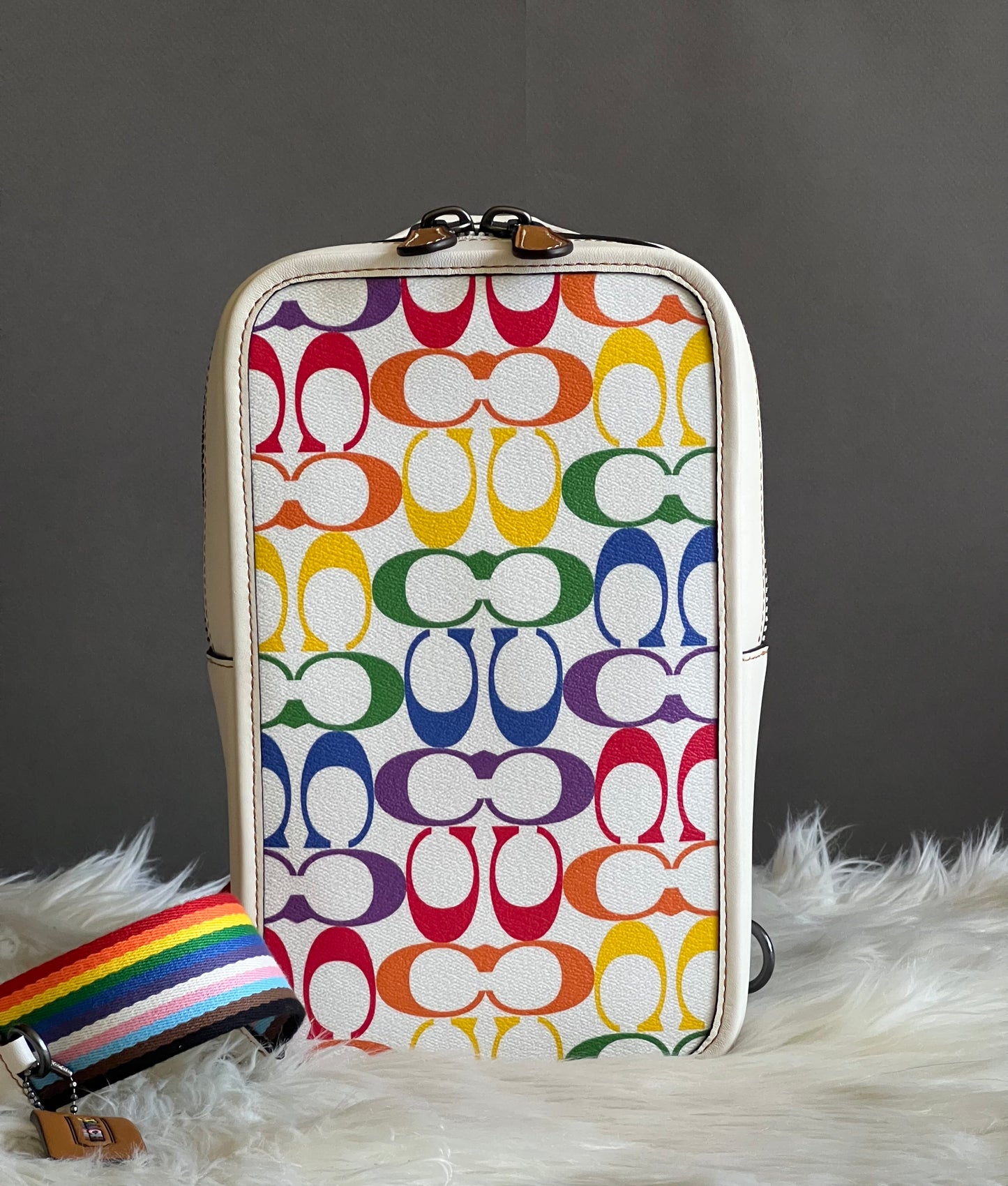 Coach Sullivan Pack in Rainbow Signature Canvas