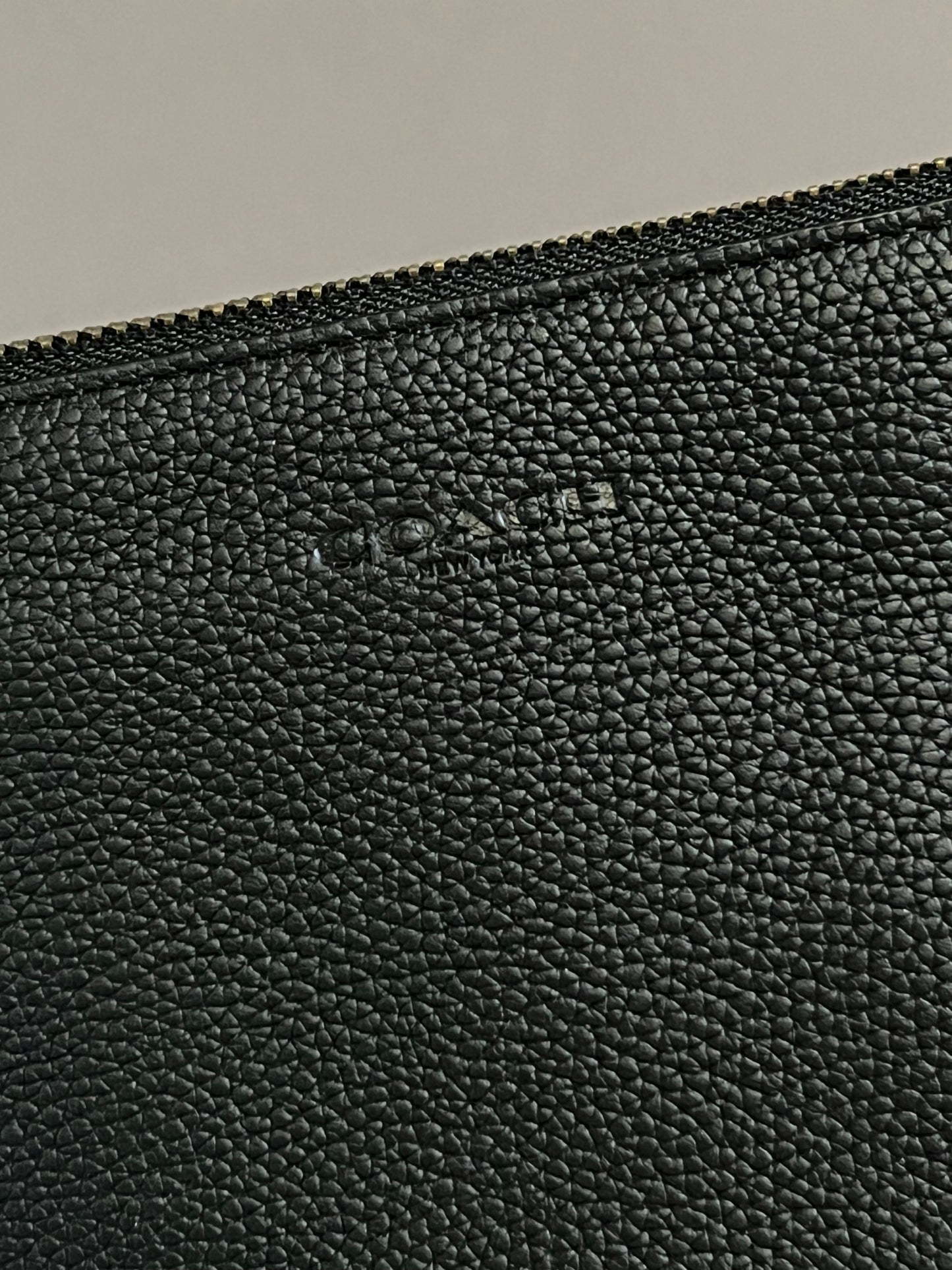 Coach Multifunctional Pouch