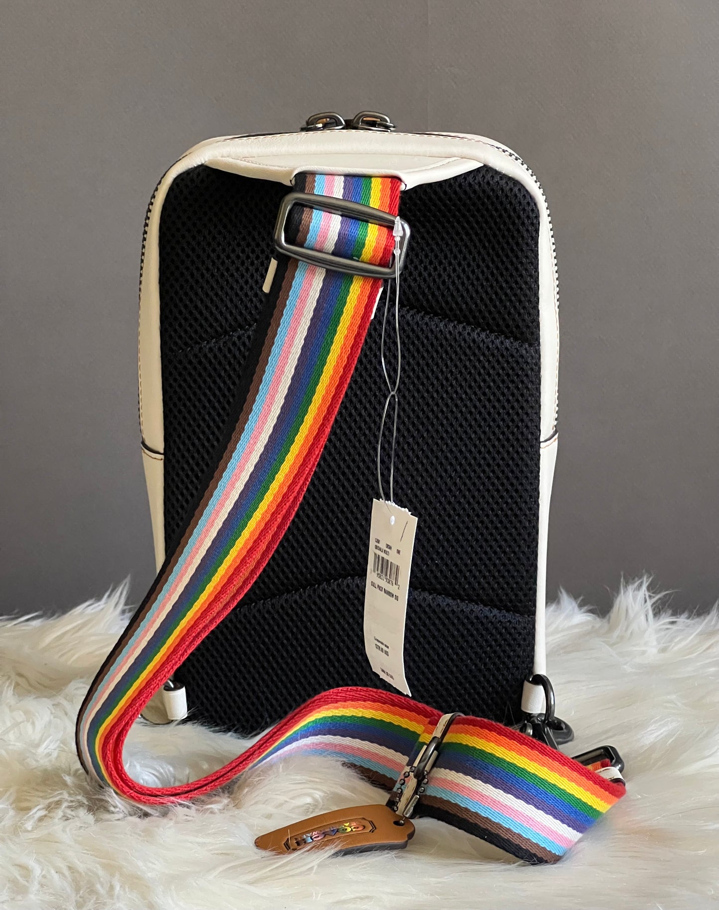 Coach Sullivan Pack in Rainbow Signature Canvas