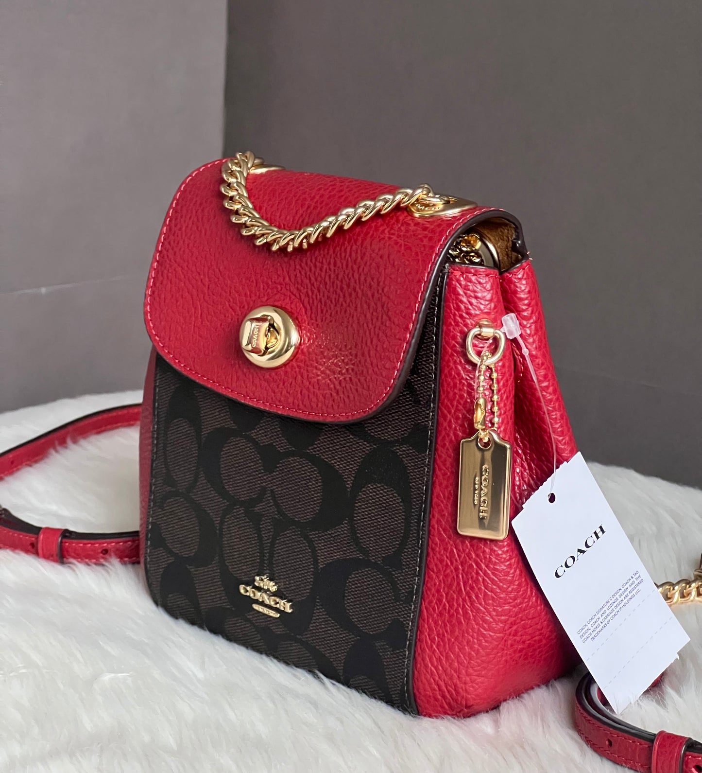 Coach Convertible Mini Backpack In Signature Canvas