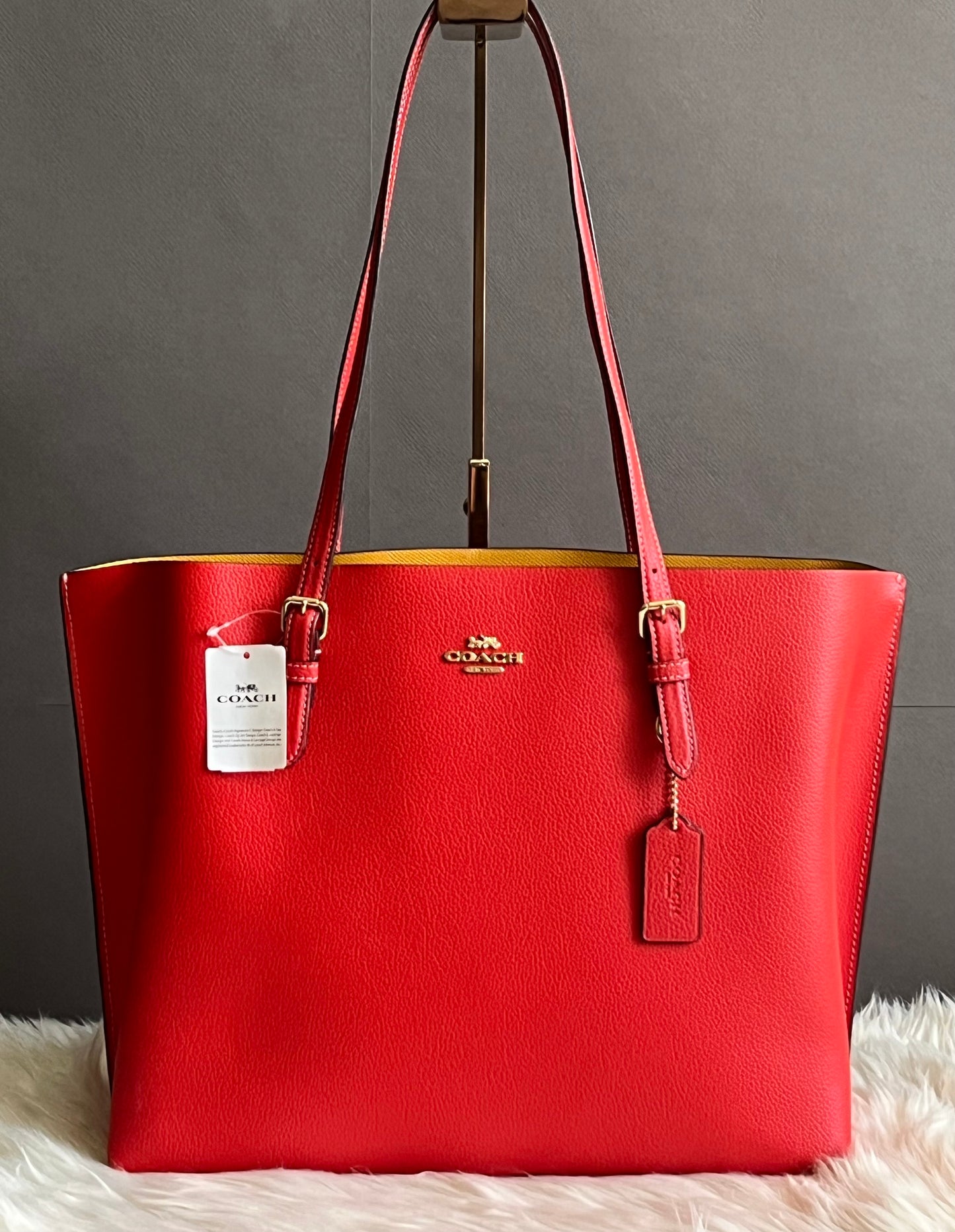 Coach Mollie Tote