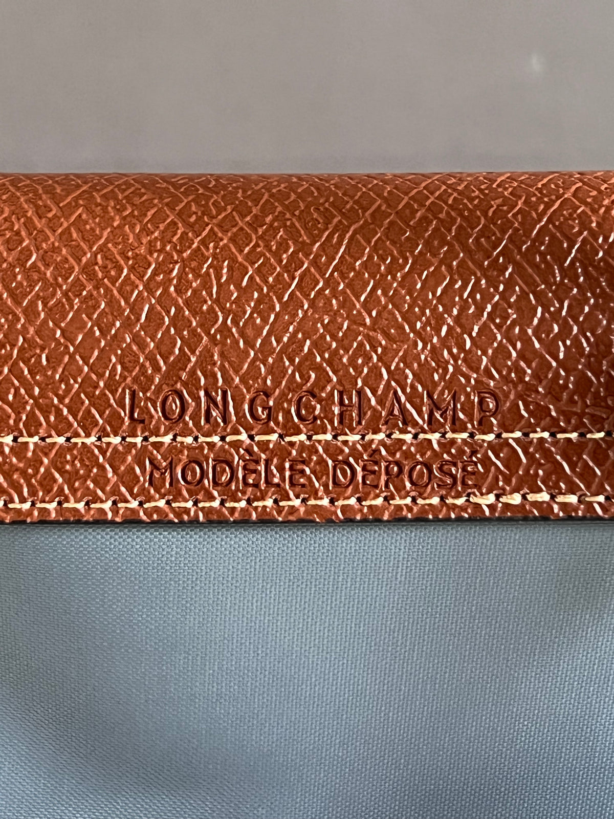 Longchamp XS Le Pliage Original Pouch with Strap