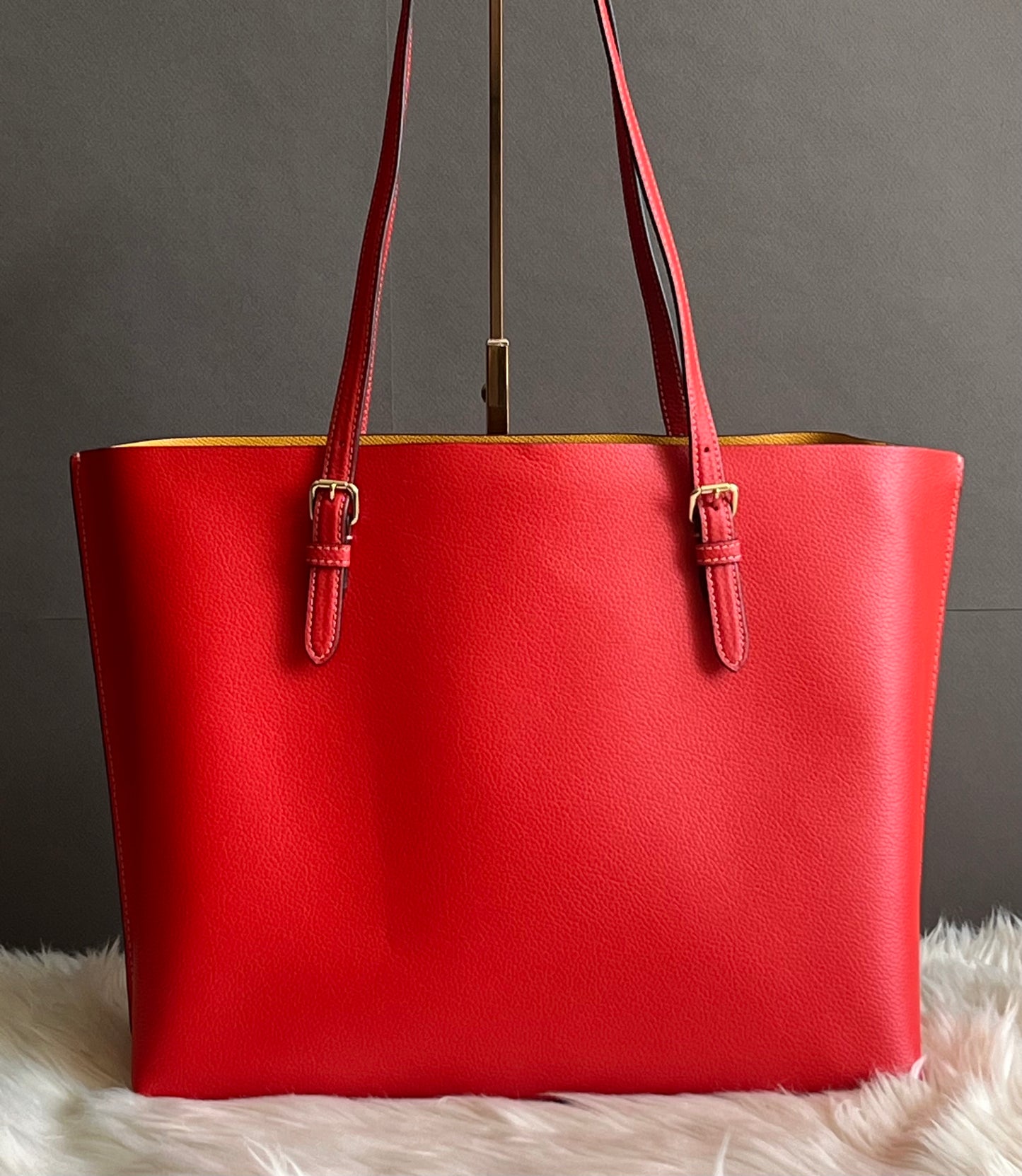 Coach Mollie Tote