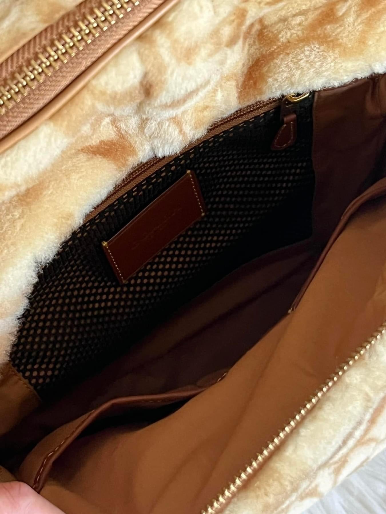 Coach Charter Backpack In Signature Shearling