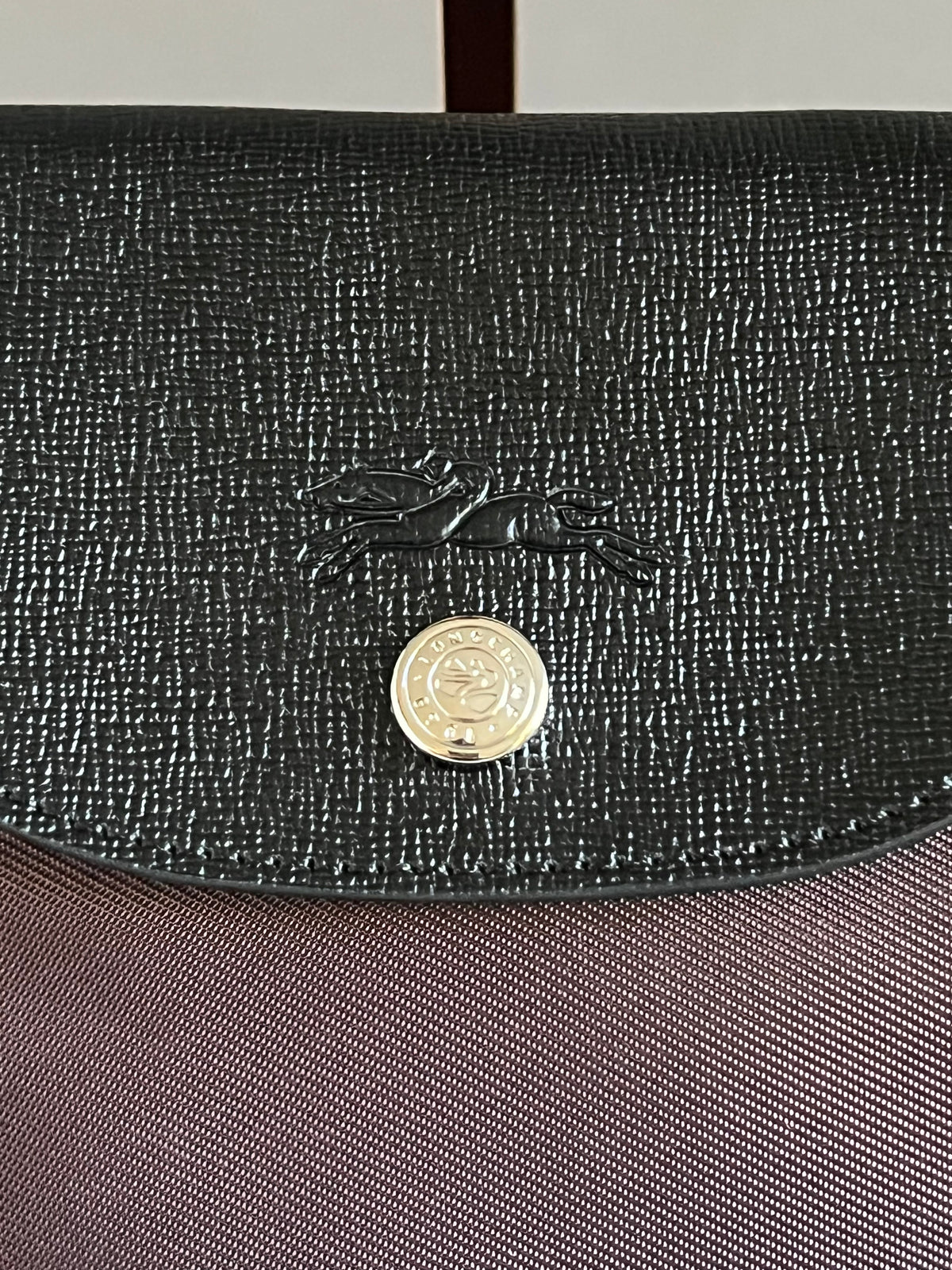 Longchamp Le Pliage Energy L Handbag