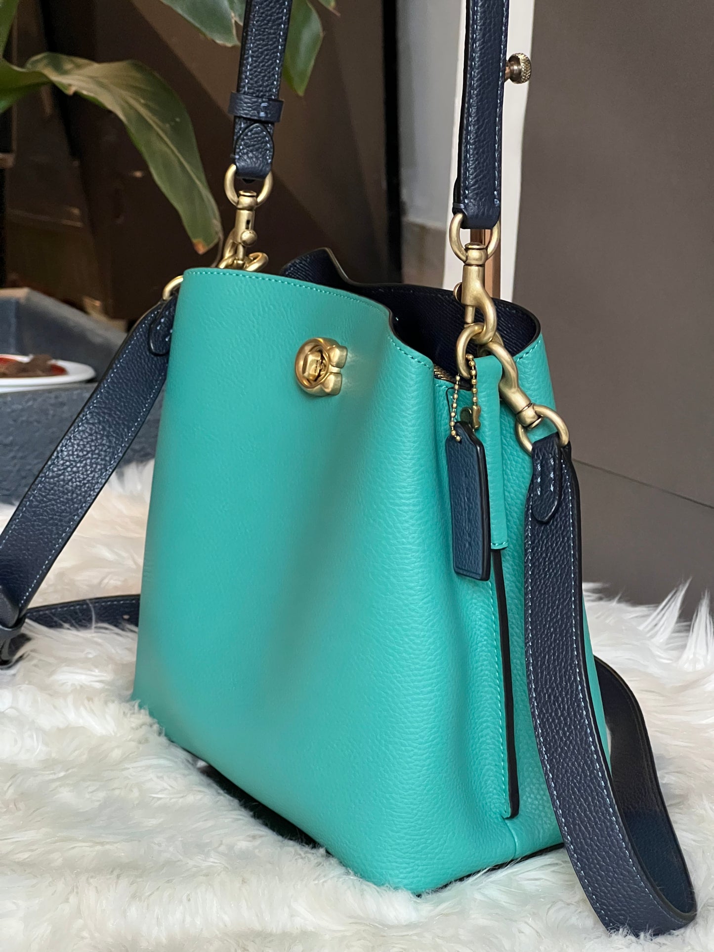 Coach Willow Bucket Bag in Colorblock