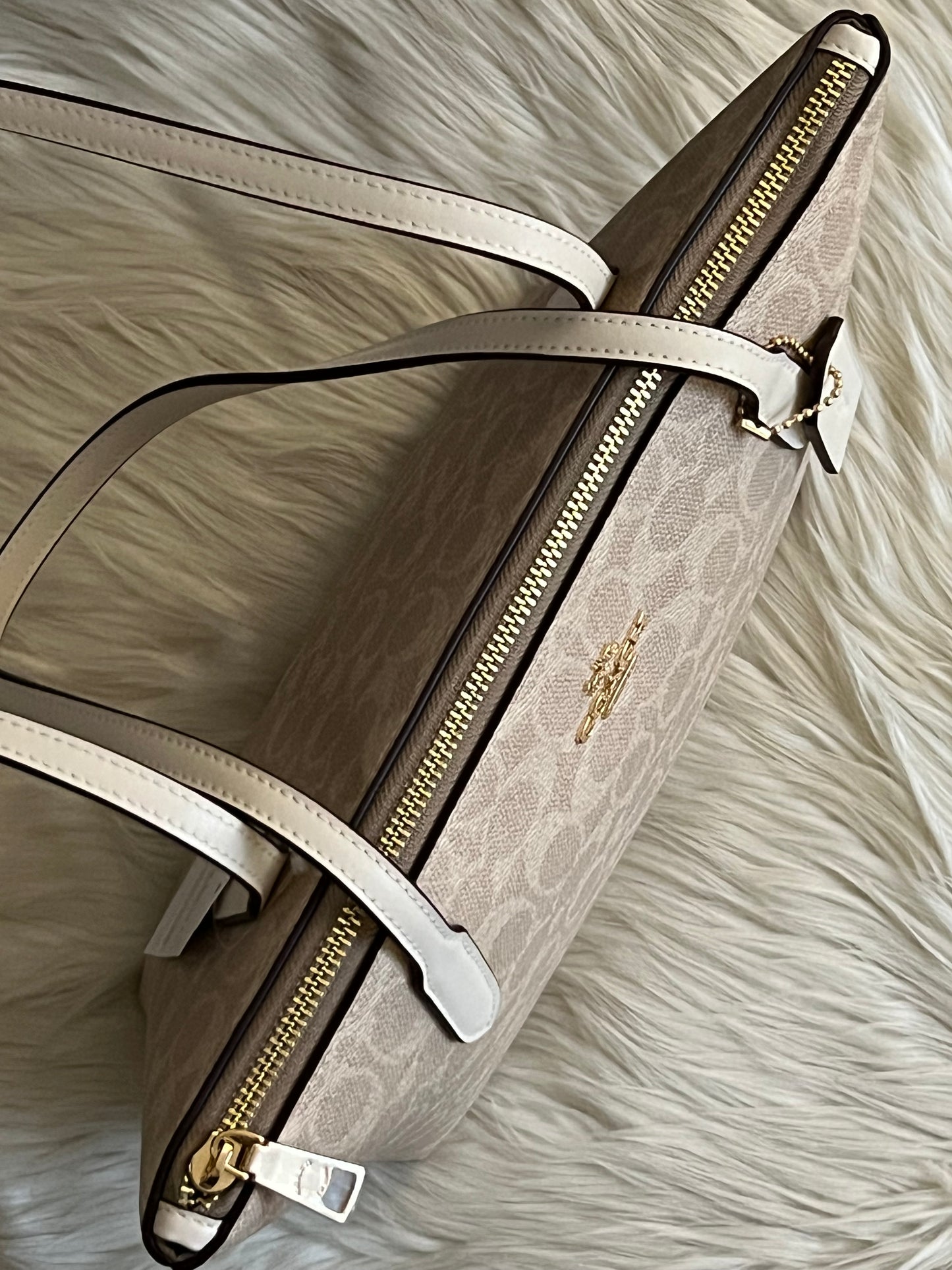 Coach Fiona Zip Tote Bag in Signature Canvas