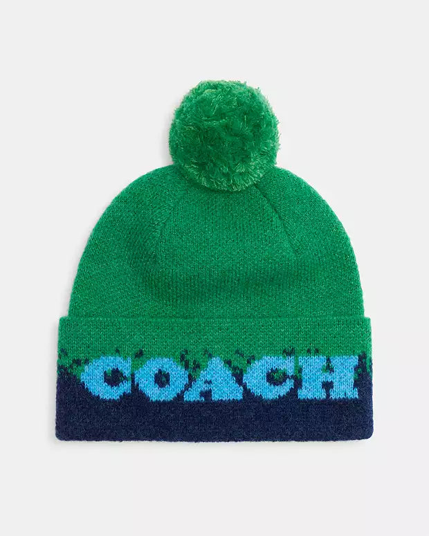 Coach Ombre Print Beanie