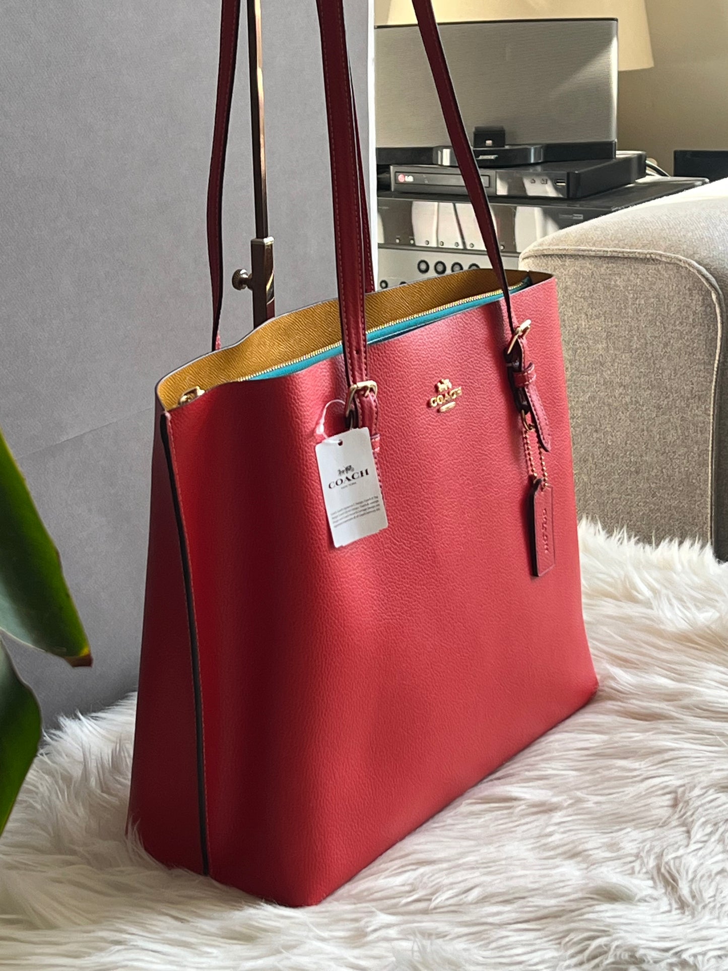 Coach Mollie Tote