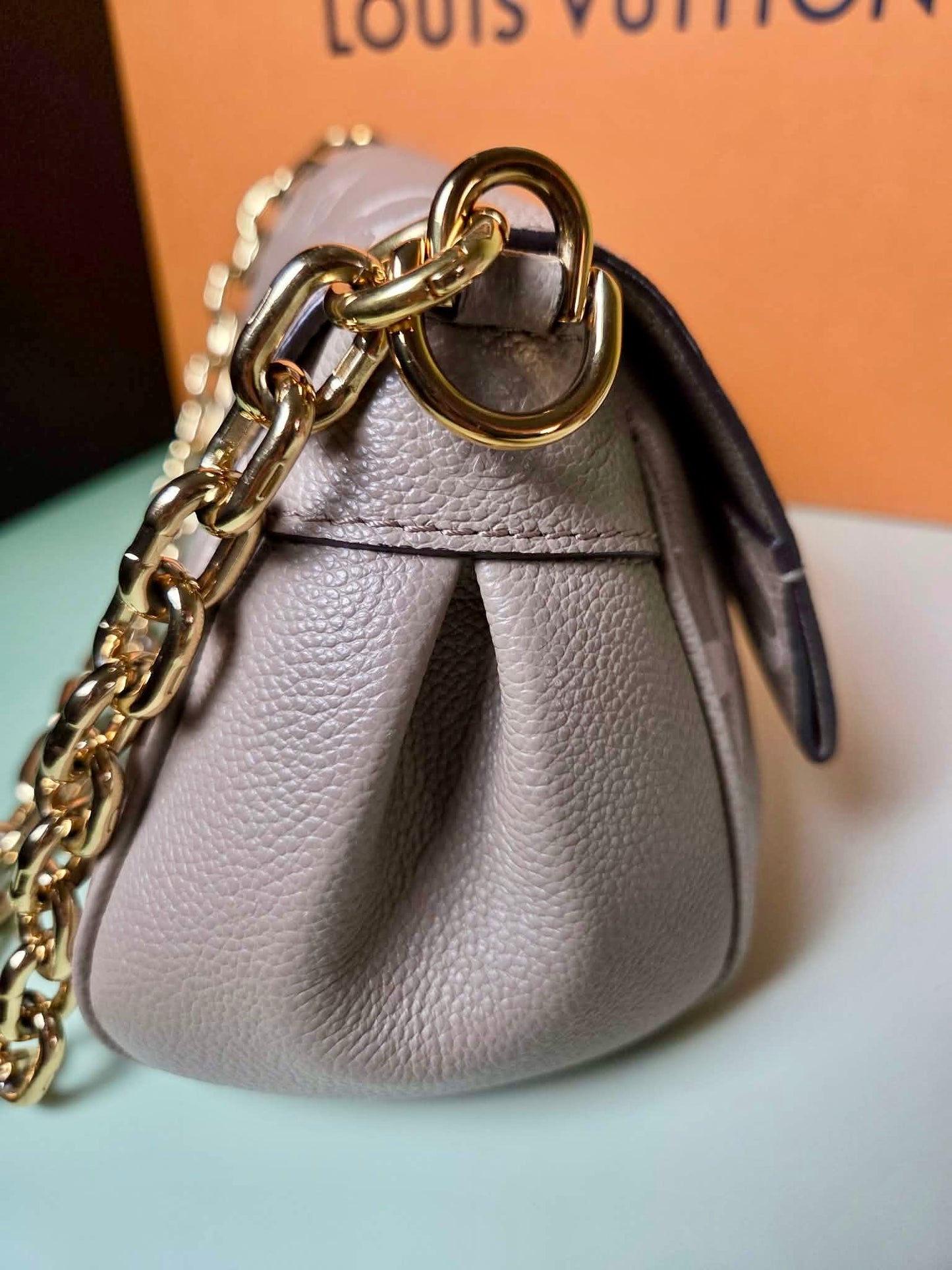 Louis Vuitton Favorite