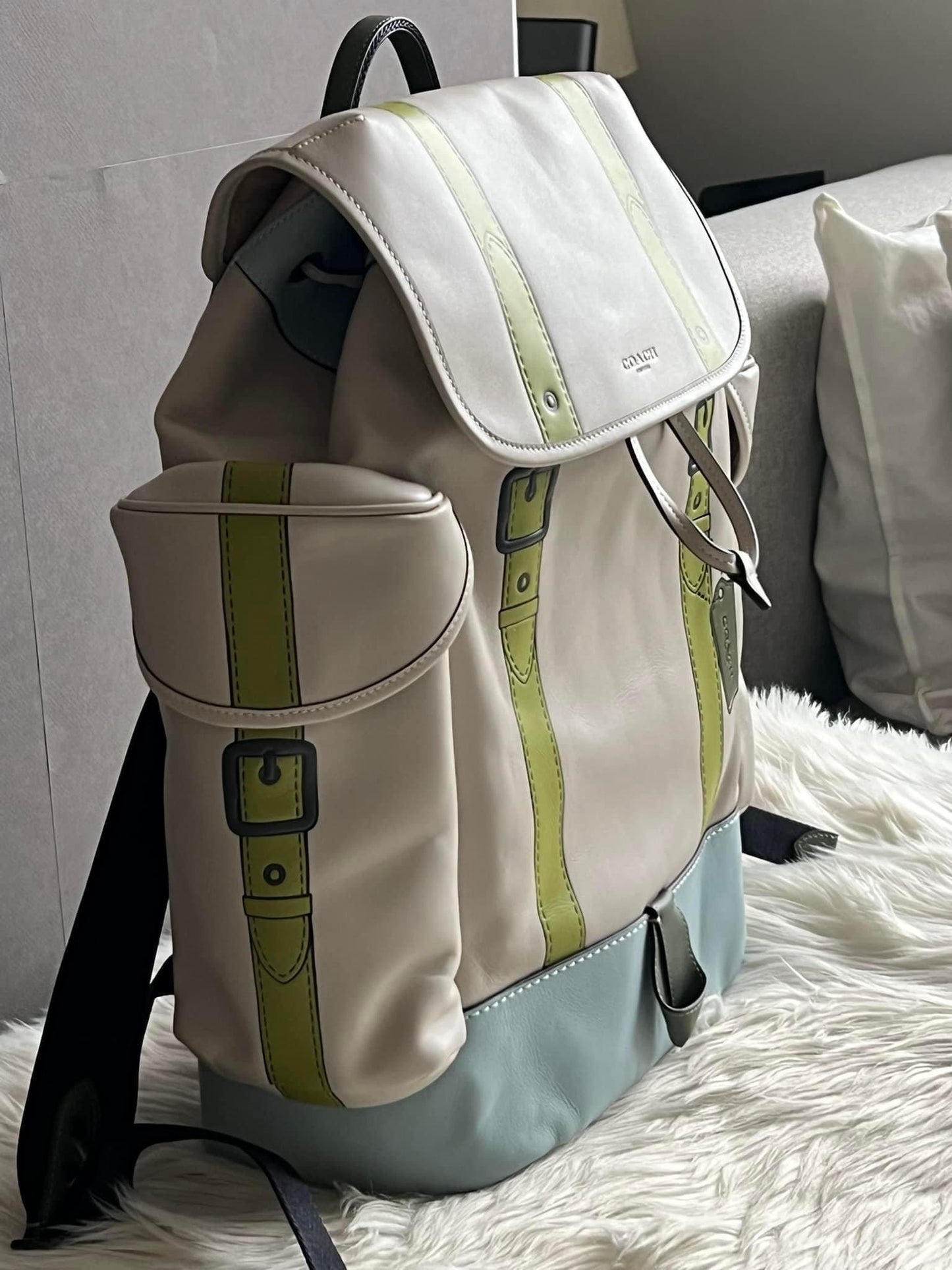 Coach Hitch Backpack with Trompe L’oeil