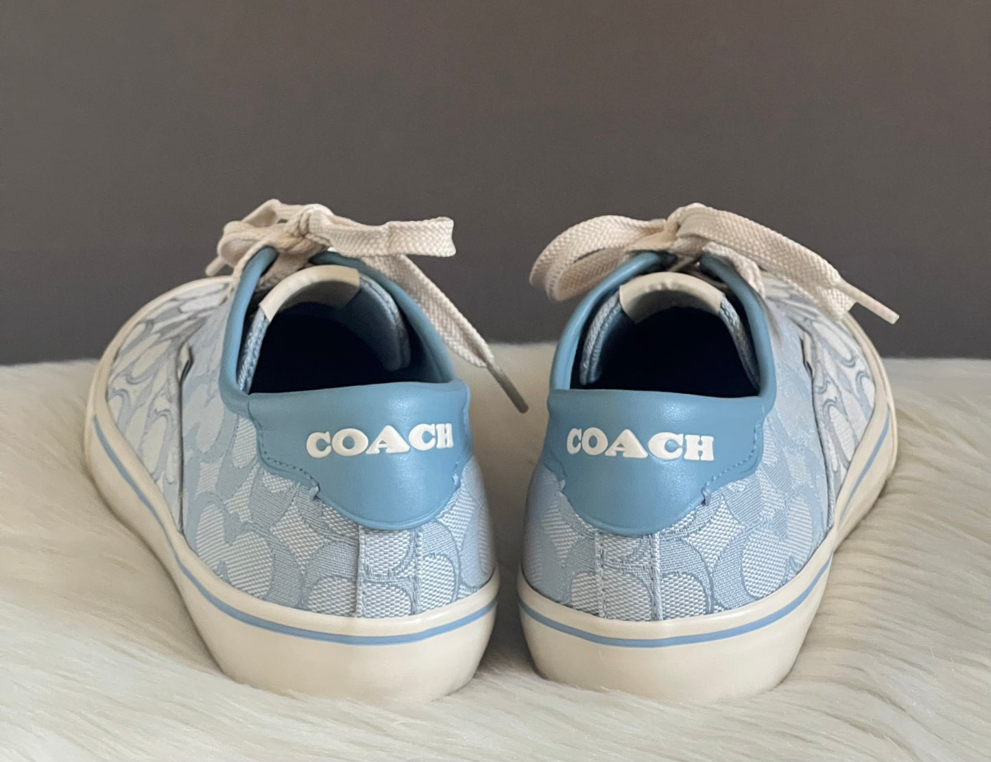 Coach Citysole Skate