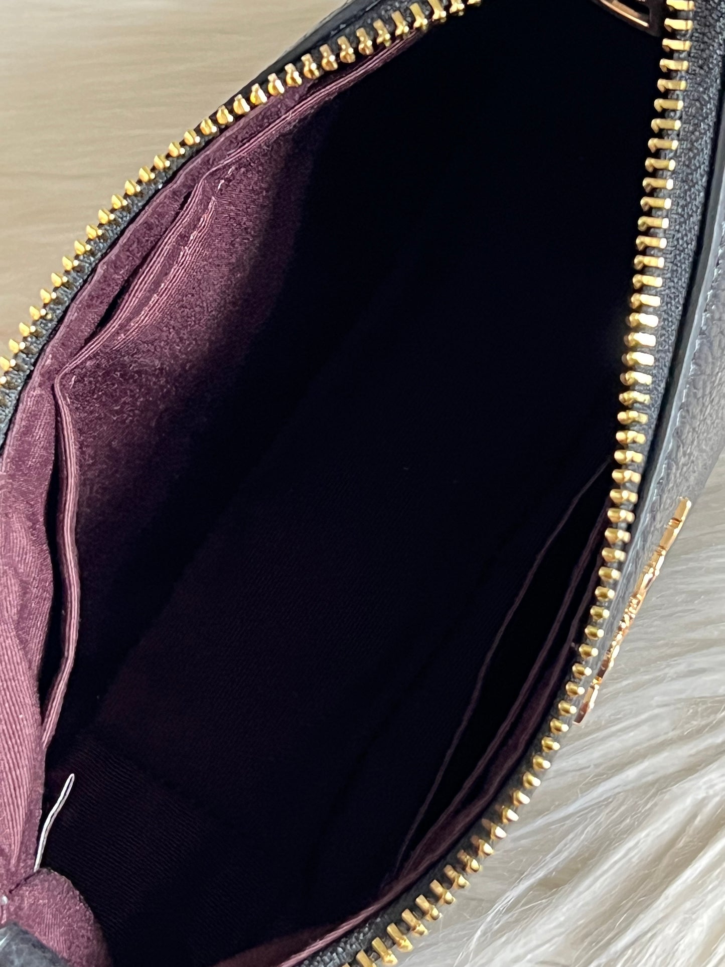 Coach Teri Mini Crossbody Bag