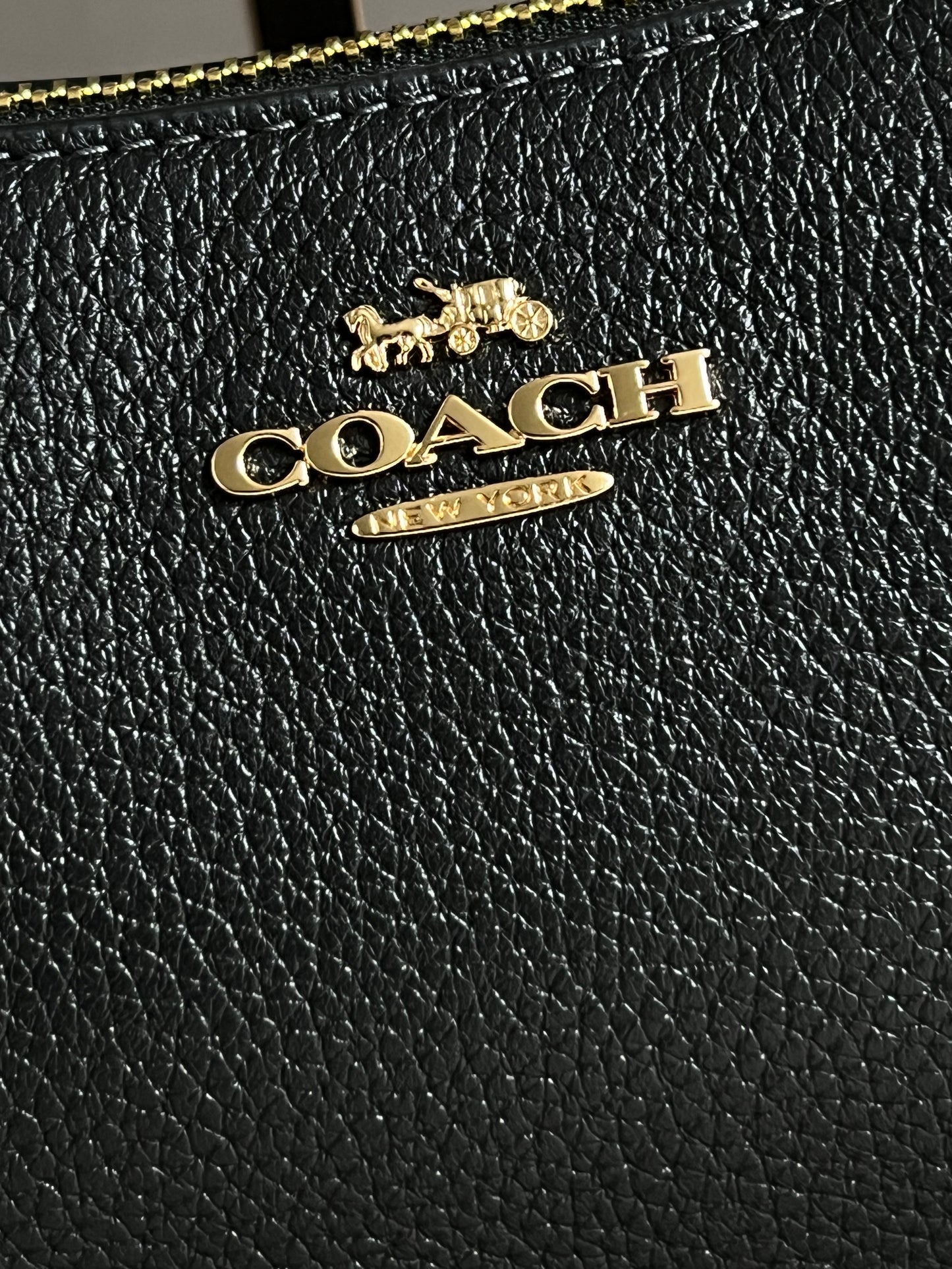 Coach Teri Mini Crossbody Bag