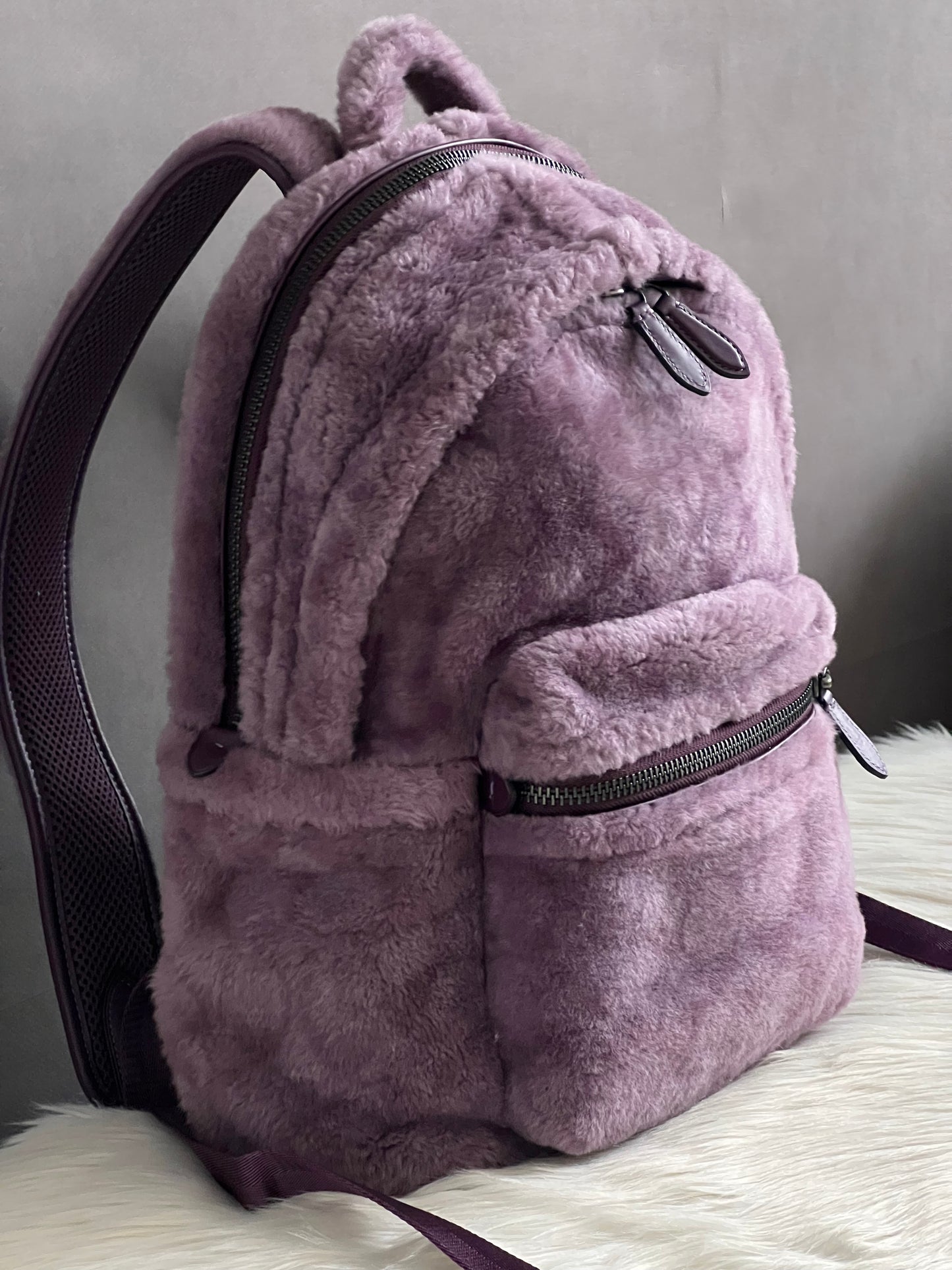 Coach Charter Backpack In Signature Shearling