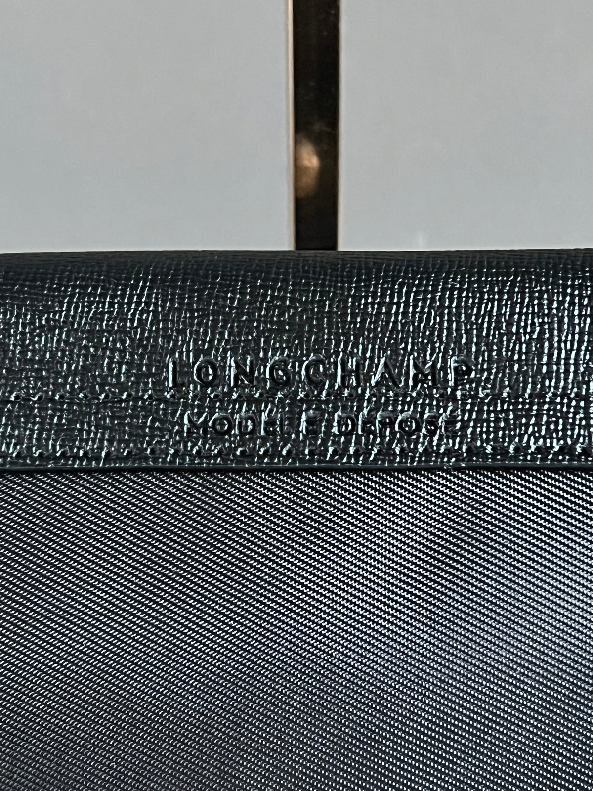 Longchamp Le Pliage Energy L Handbag