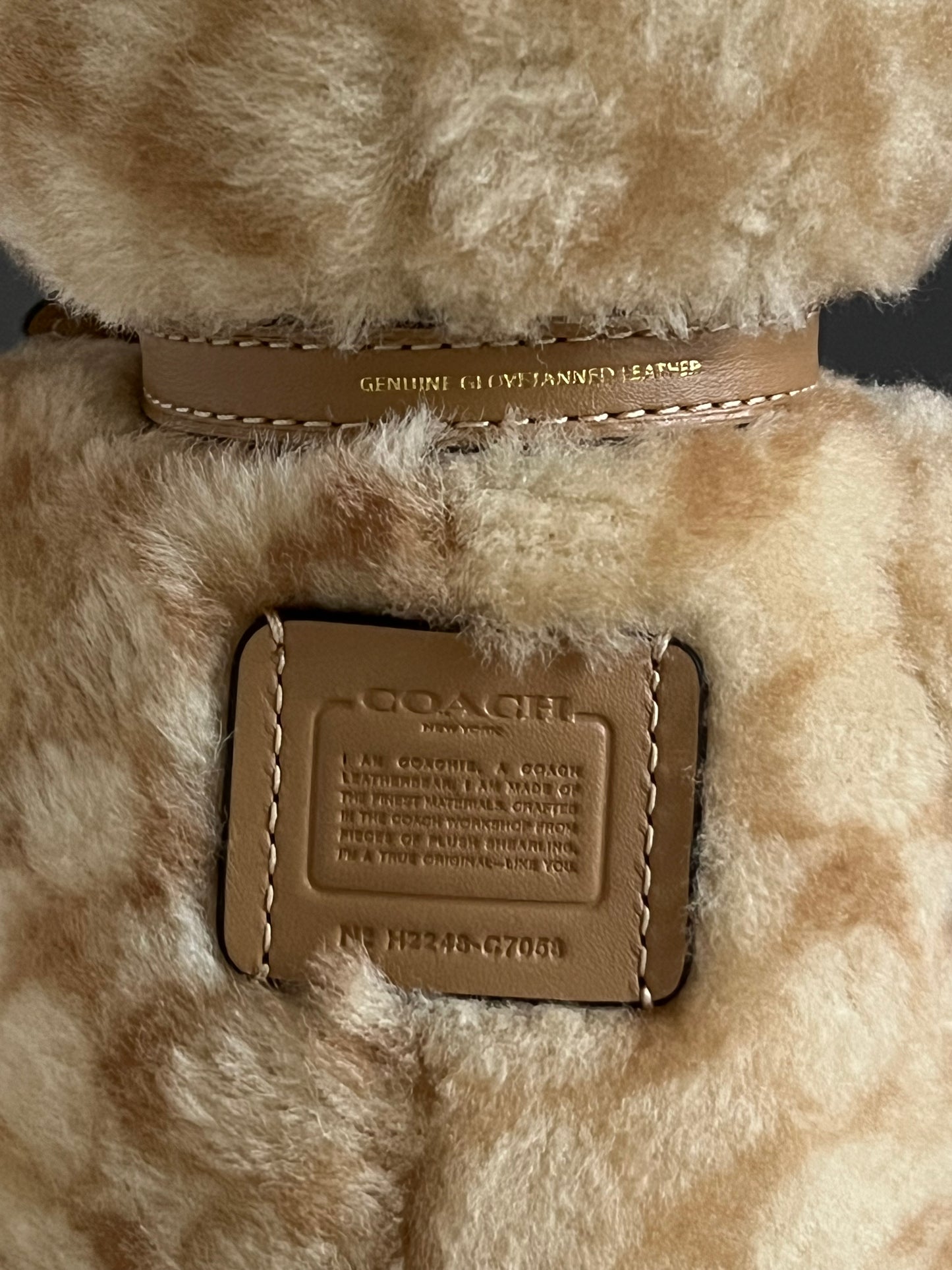 Coach Bear Collectible in Signature Shearling