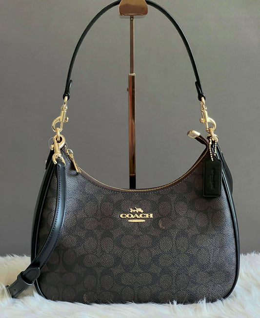 Coach Teri Hobo Bag in Signature Canvas