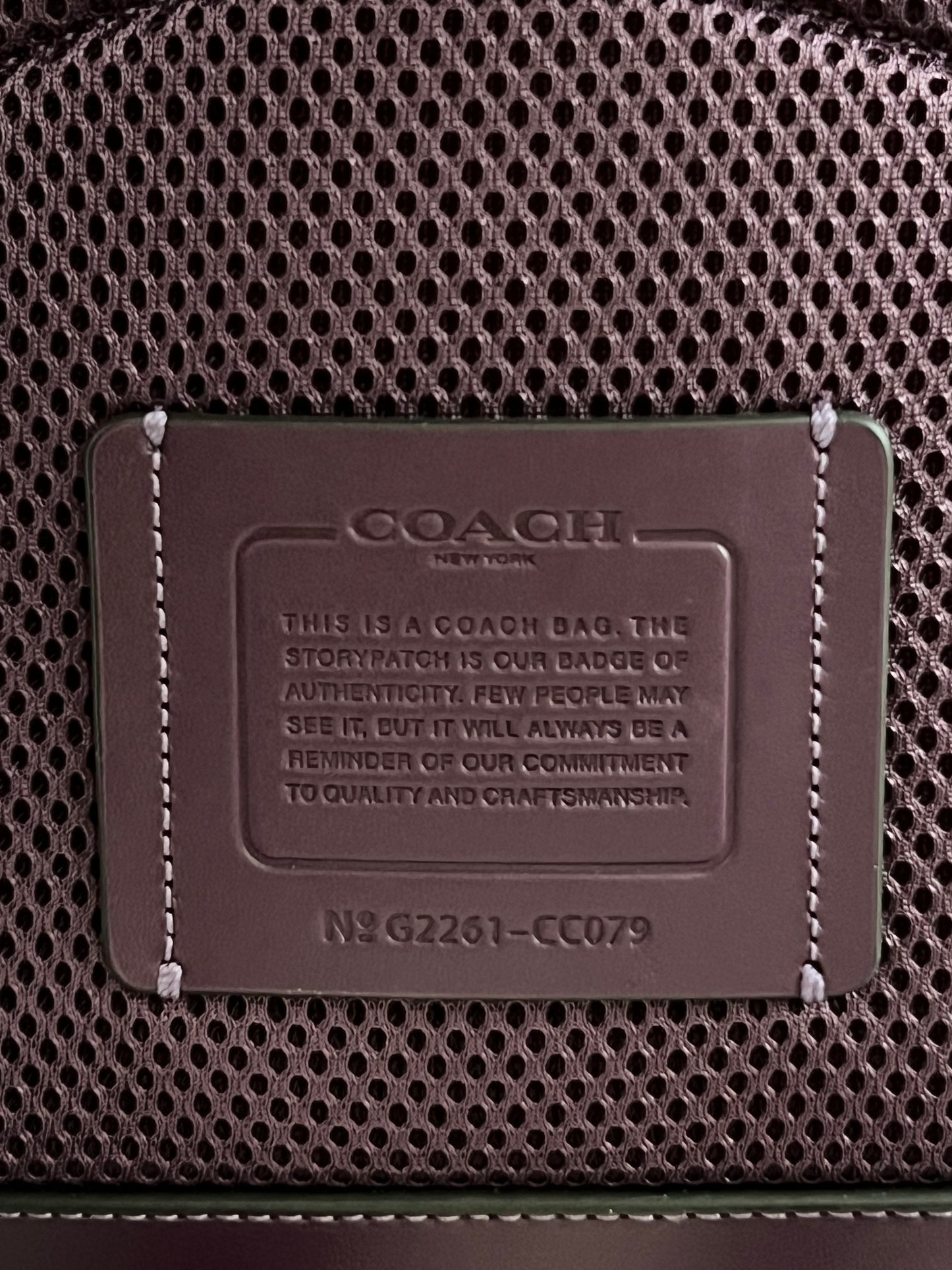 Coach Charter Backpack In Signature Shearling