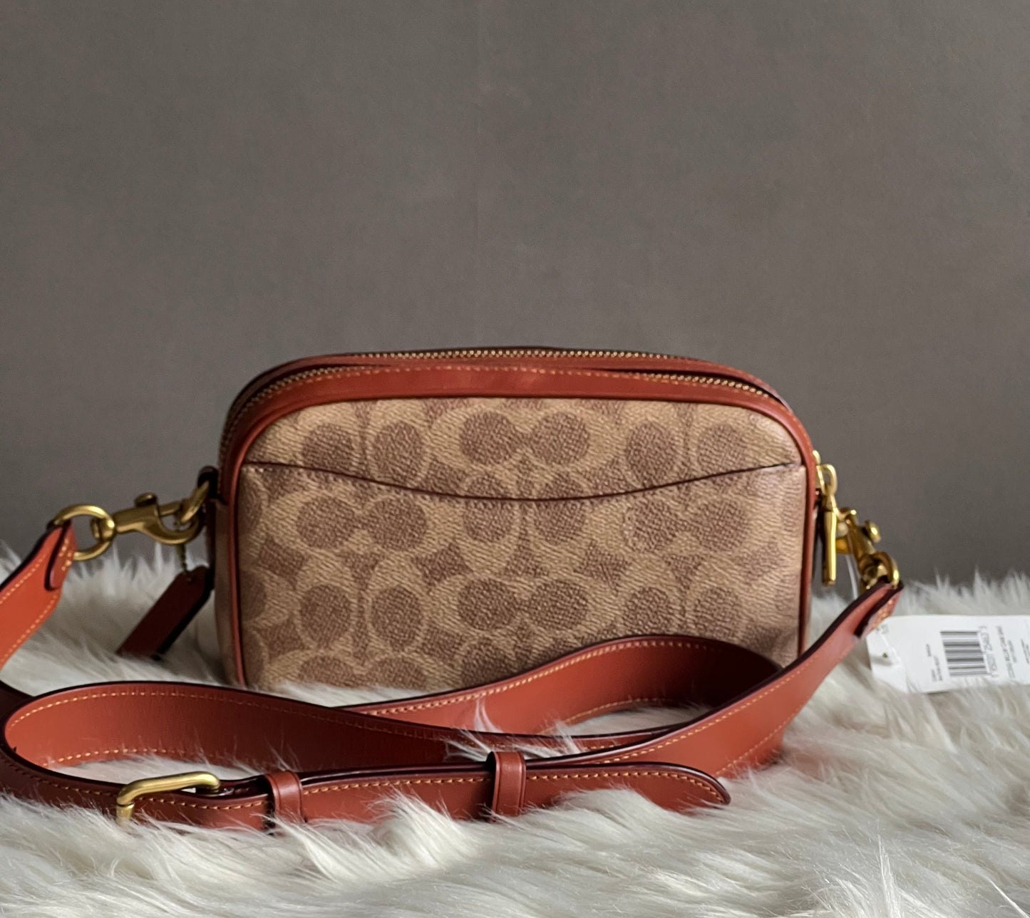 Coach Willow Camera Bag in Signature Canvas