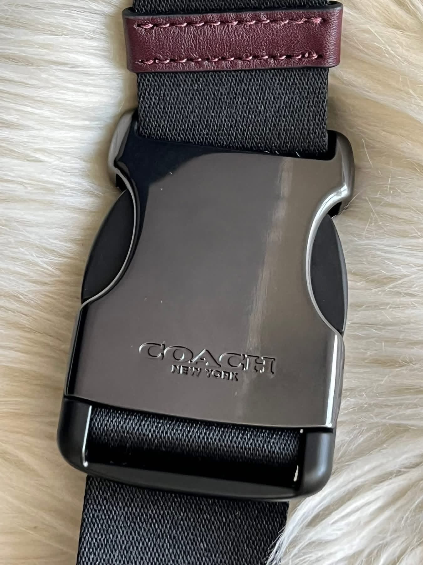 Coach Small Turner Pack In Signature Canvas