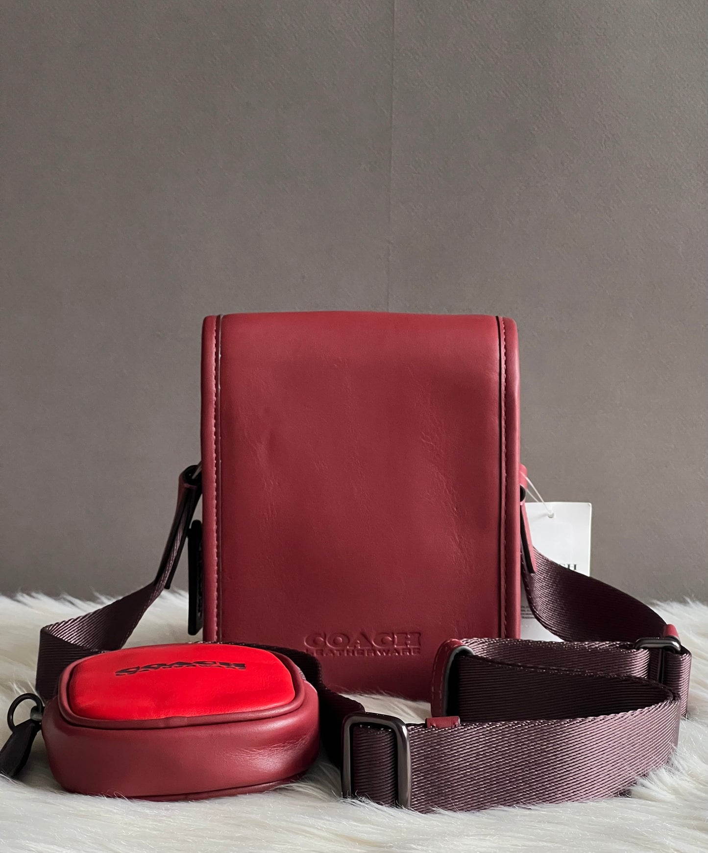 Coach Charter North/South Crossbody With Hybrid Pouch in Colorblock