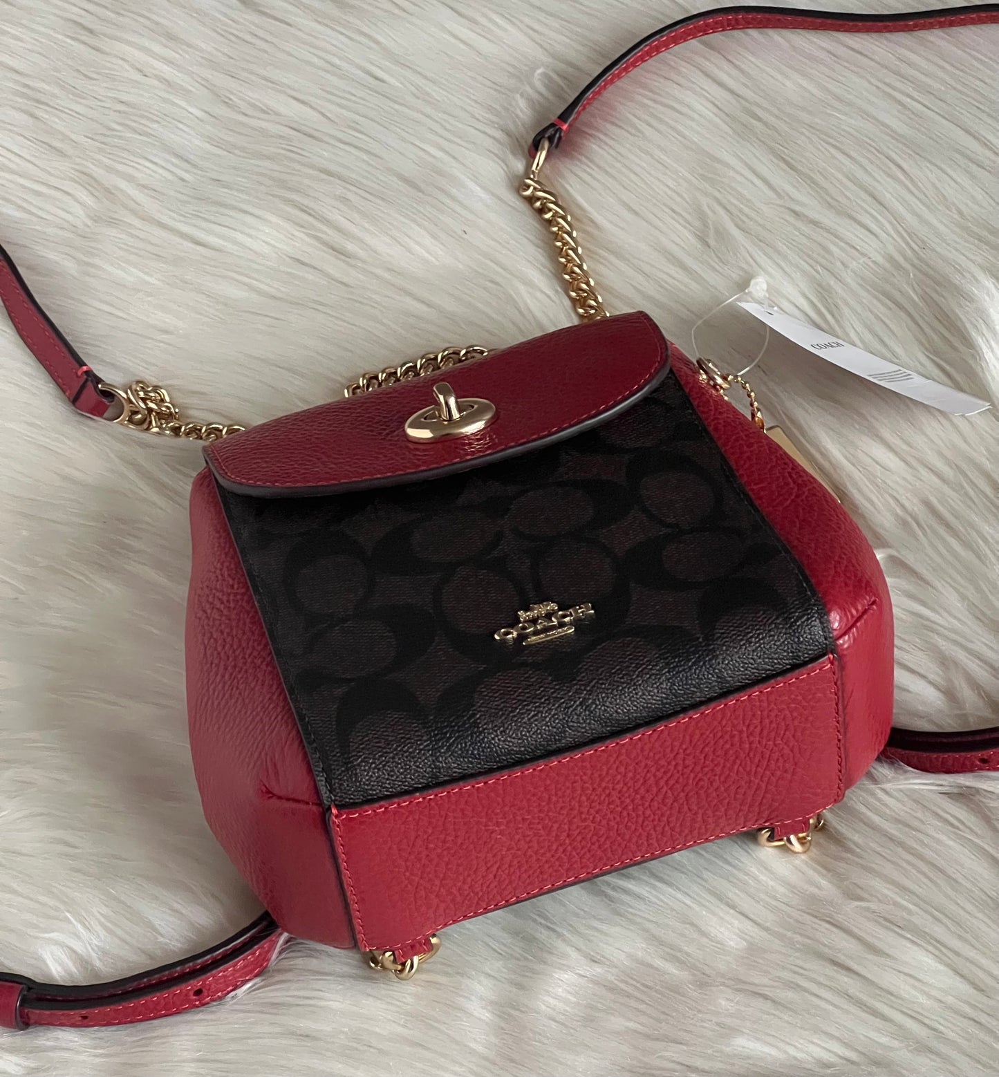 Coach Convertible Mini Backpack In Signature Canvas