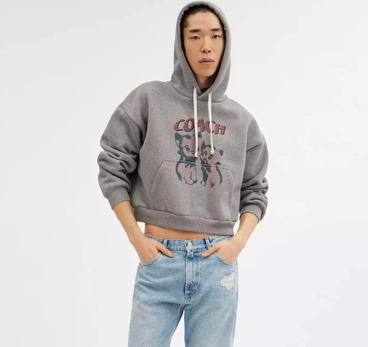 Coach The Lil Nas X Drop Cats Cropped Pullover Hoodie