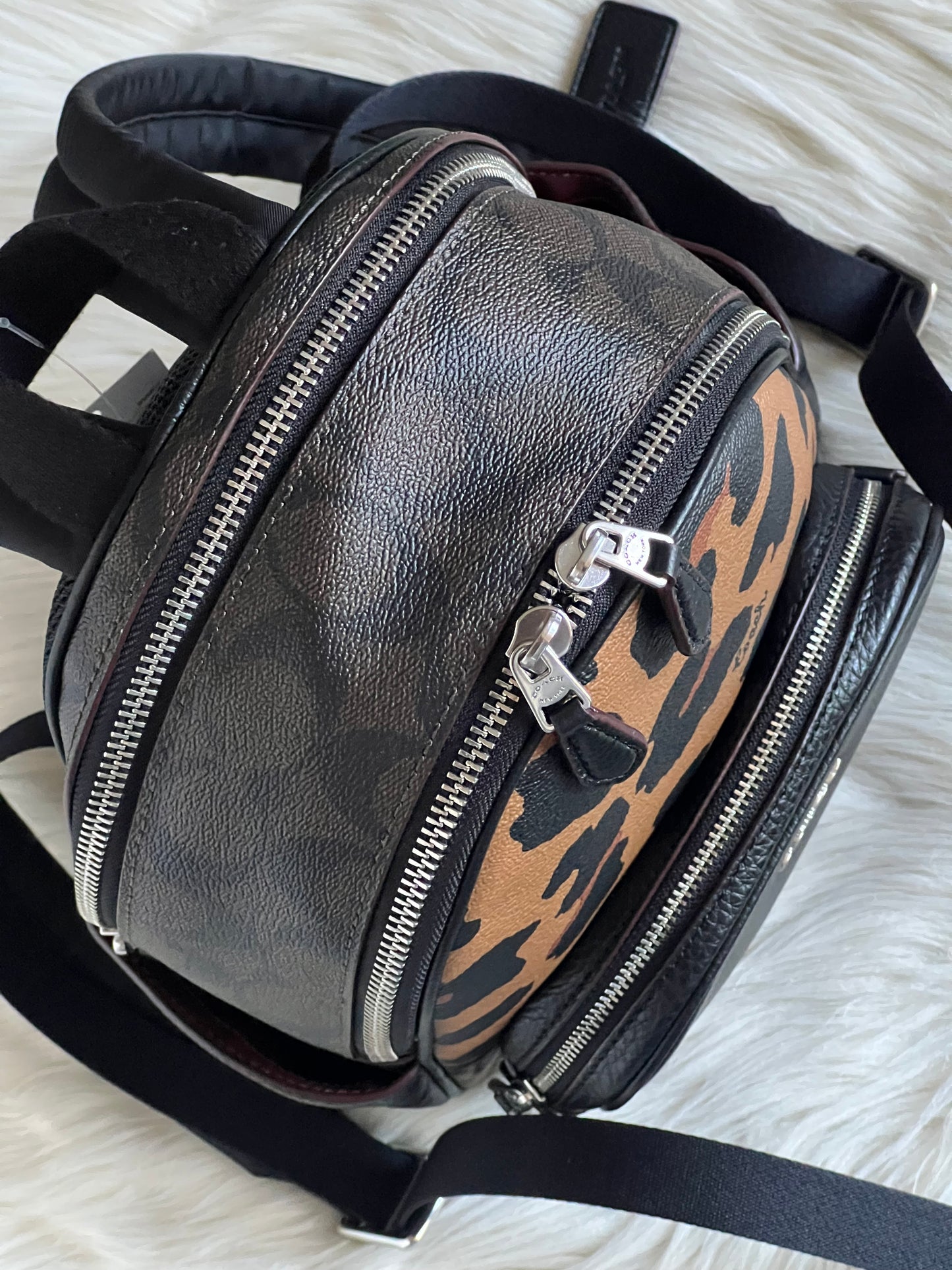 Coach Mini Court Backpack in Signature Canvas With Leopard Print