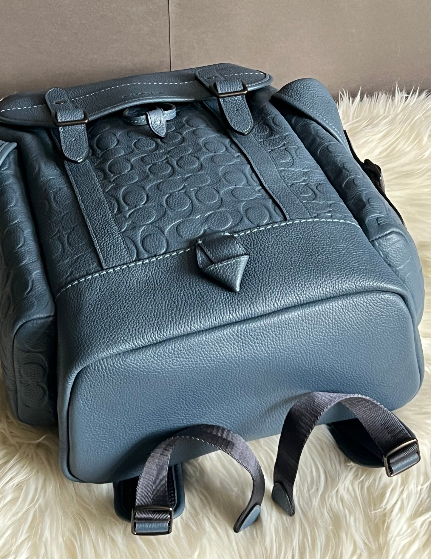 Coach Hitch Backpack in Signature Leather