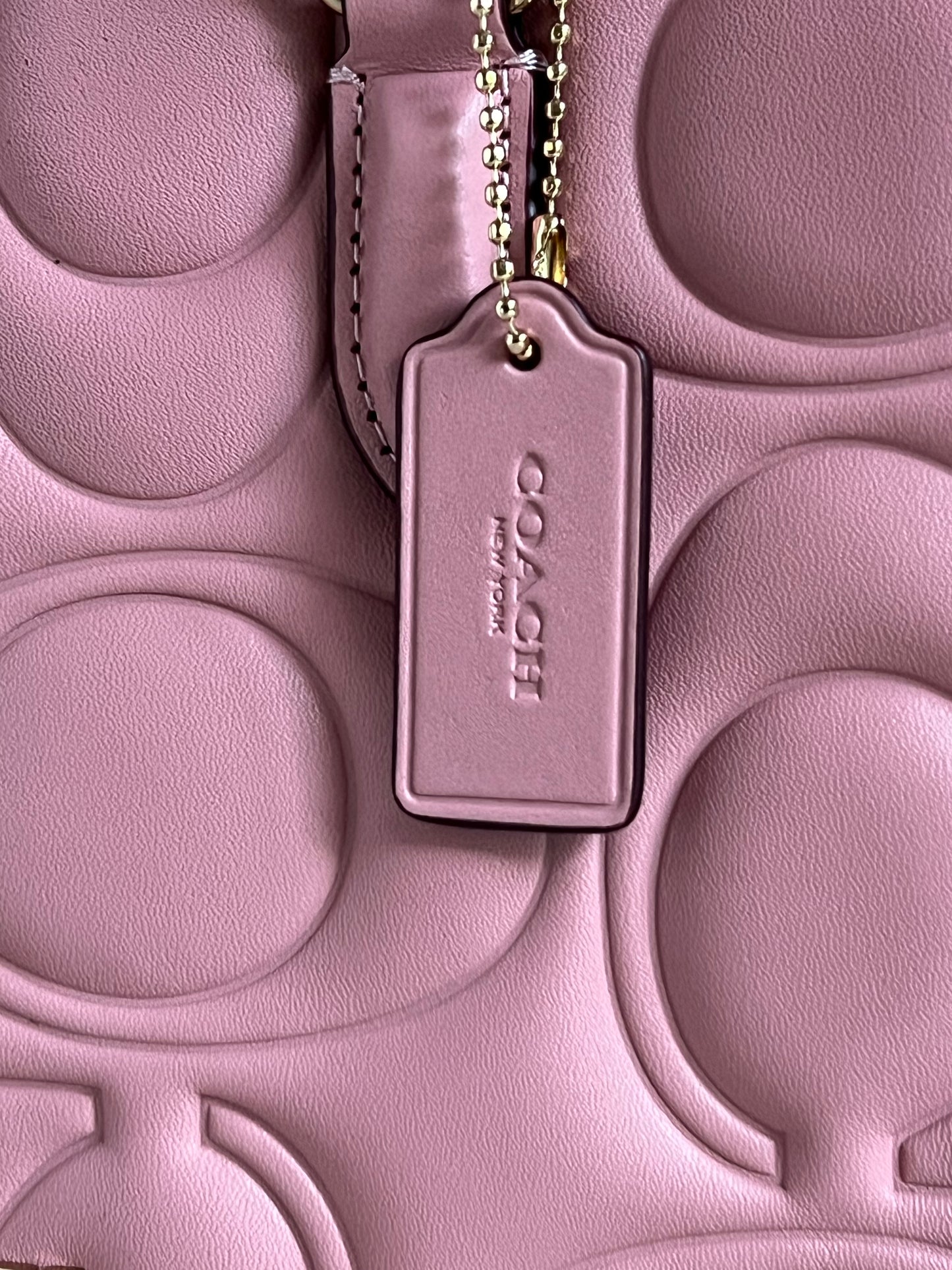 Coach Maggie Small Tote Bag