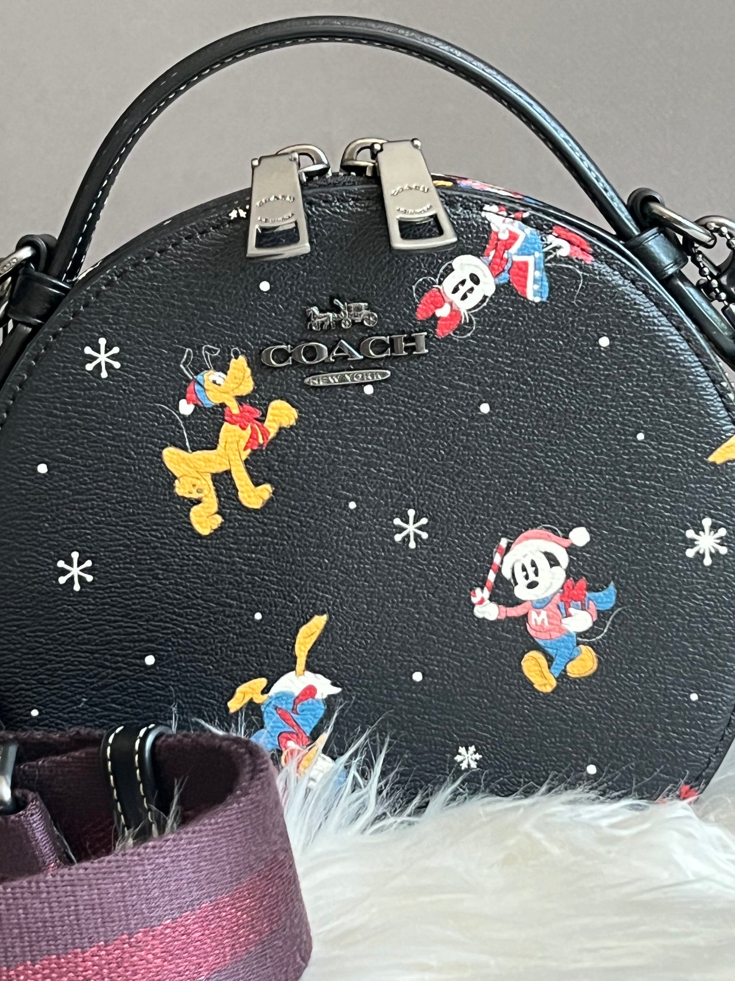 Disney X Coach Canteen Crossbody with Holiday Print