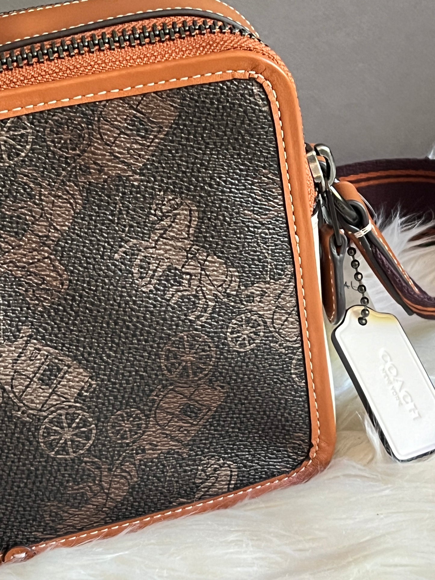 Coach Charter Crossbody 24 with Large Horse and Carriage Print