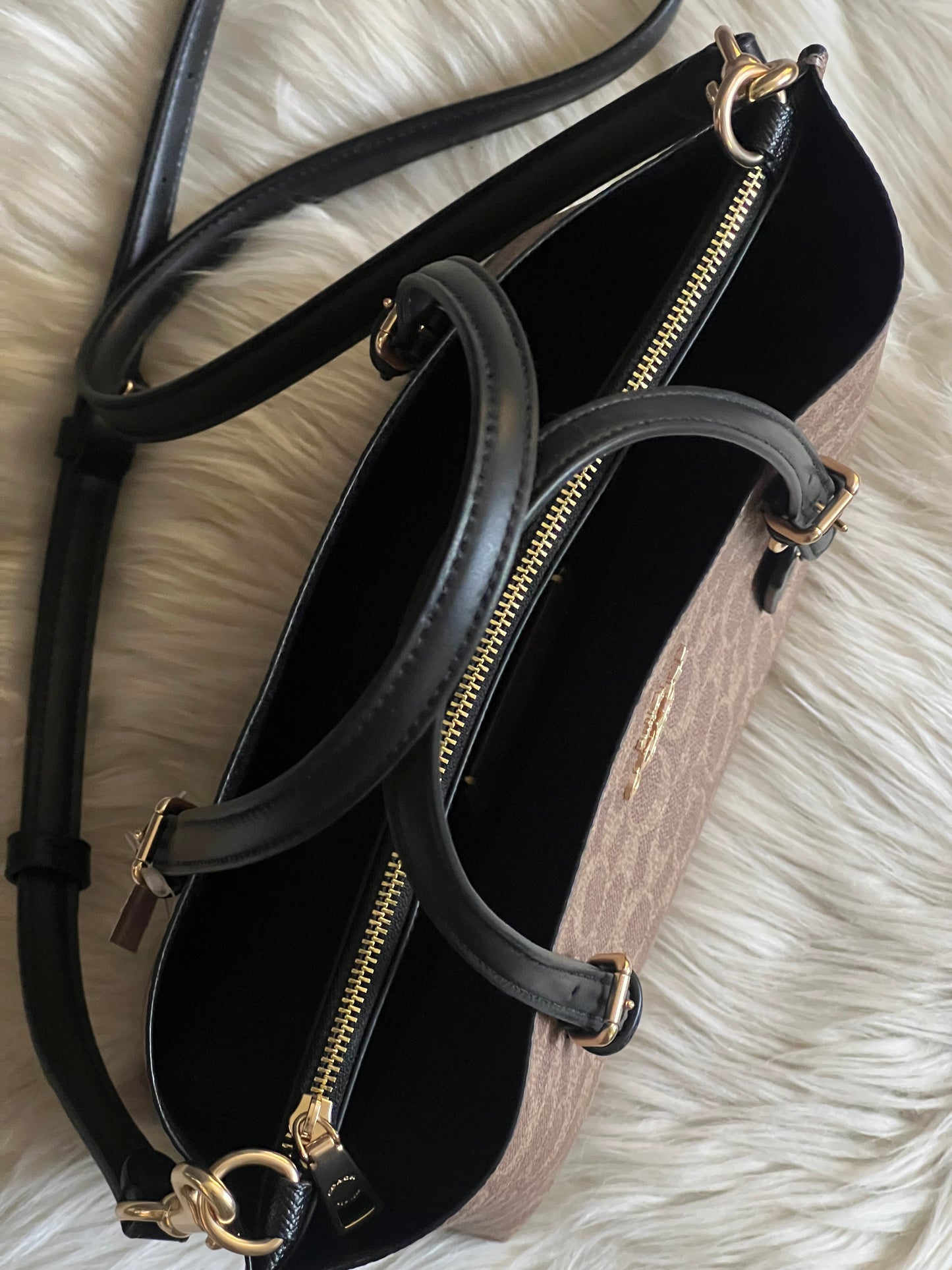 Coach Mollie Tote Bag 25 in Signature Canvas