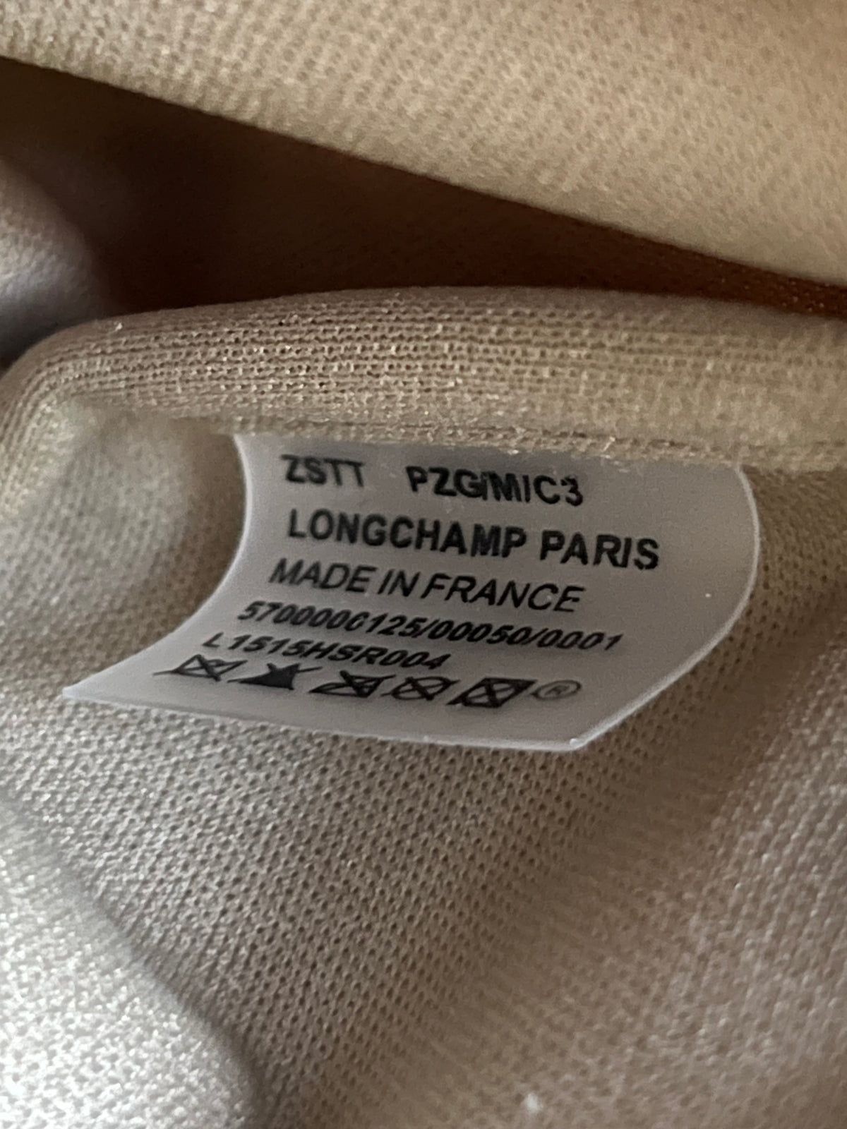 Longchamp Le Pliage Energy L Handbag