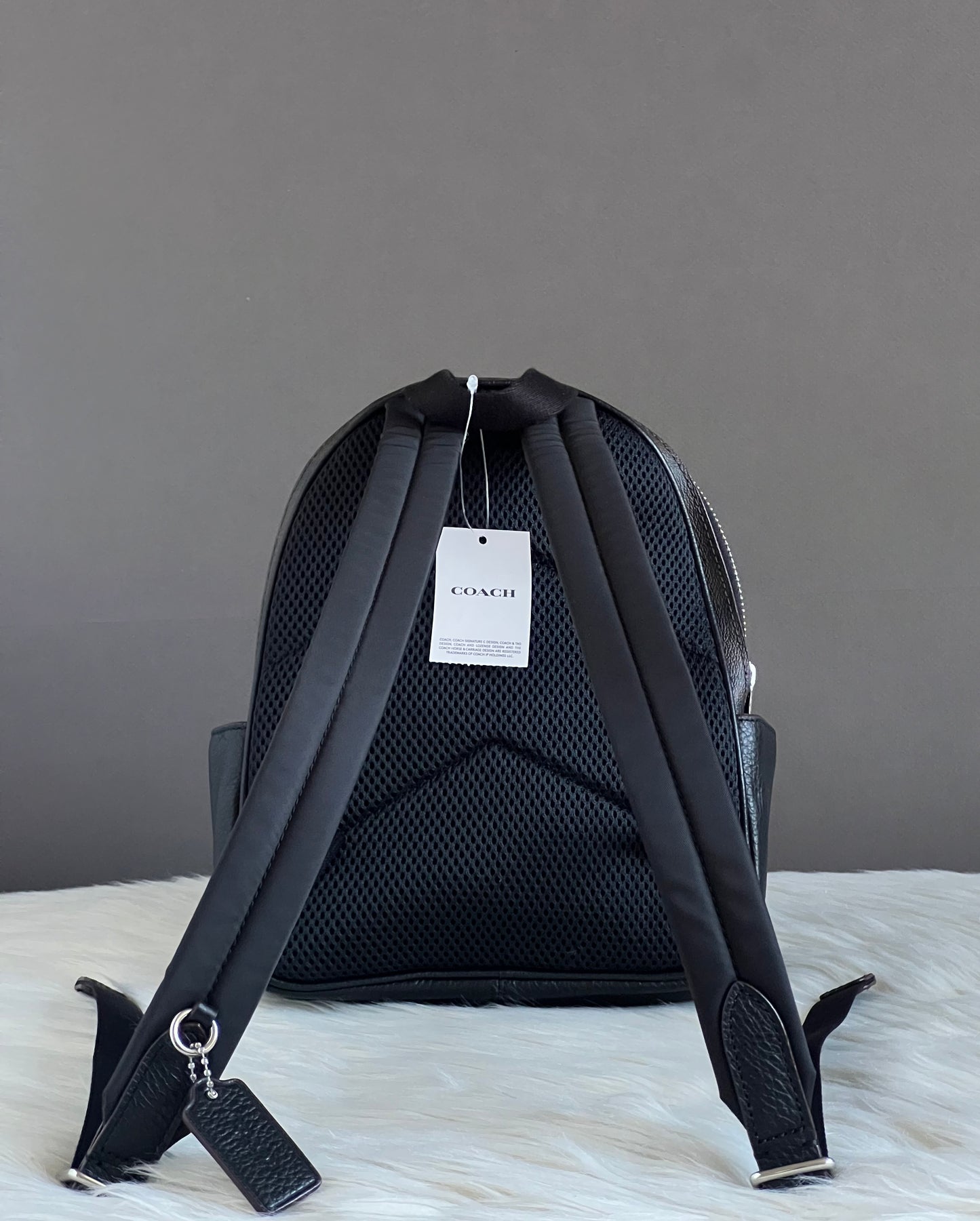Coach Mini Court Backpack in Signature Canvas With Leopard Print