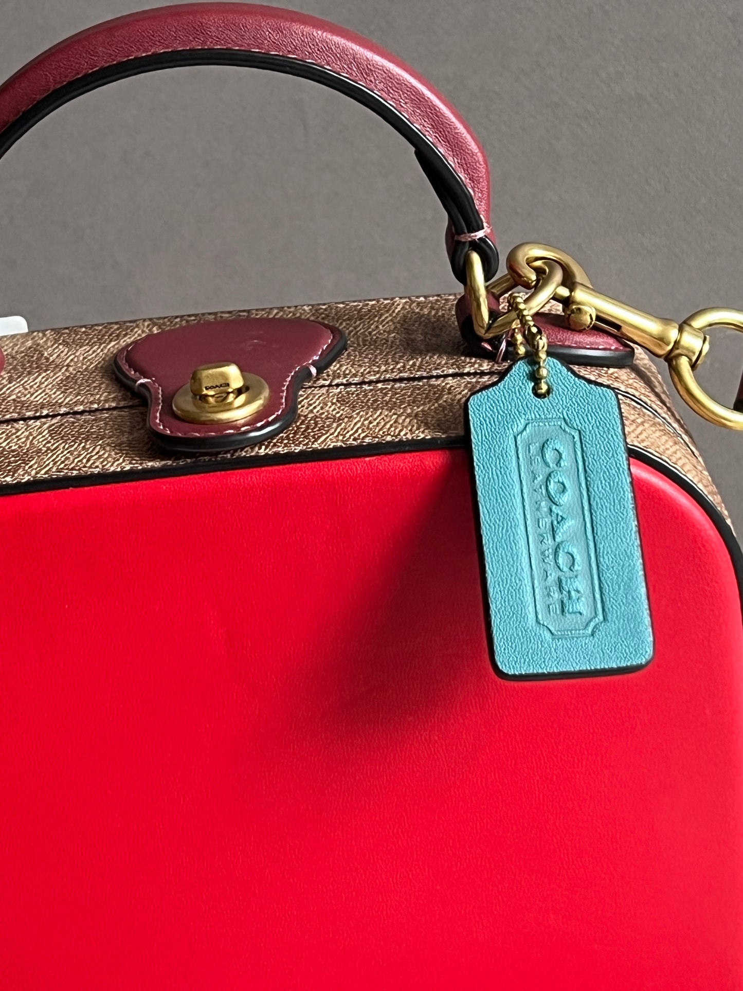 Coach Lunar New Year Square Bag in Signature Canvas