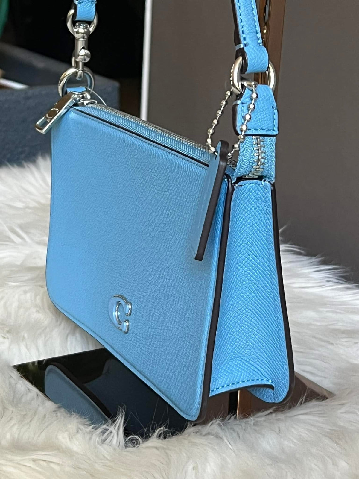 Coach Pouch Bag with Signature Canvas Detail