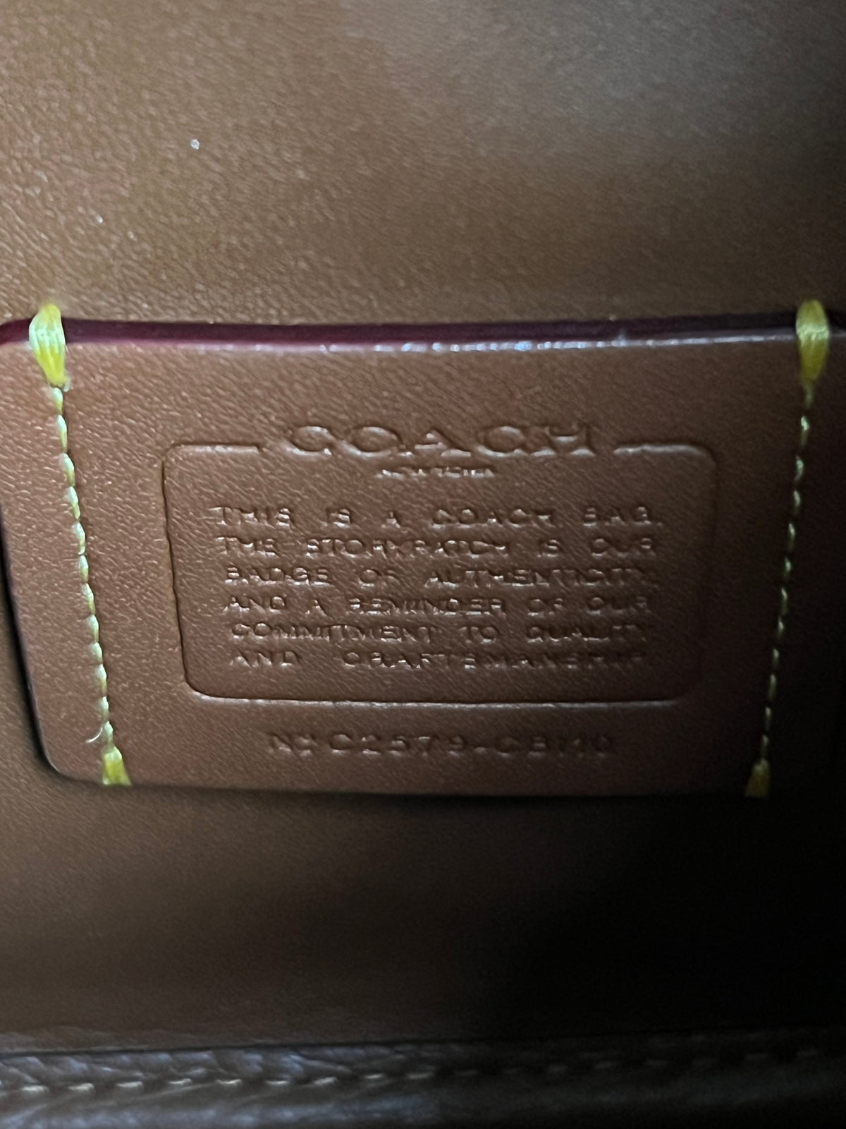 Coach Hadley Mini Crossbody Bag In Straw