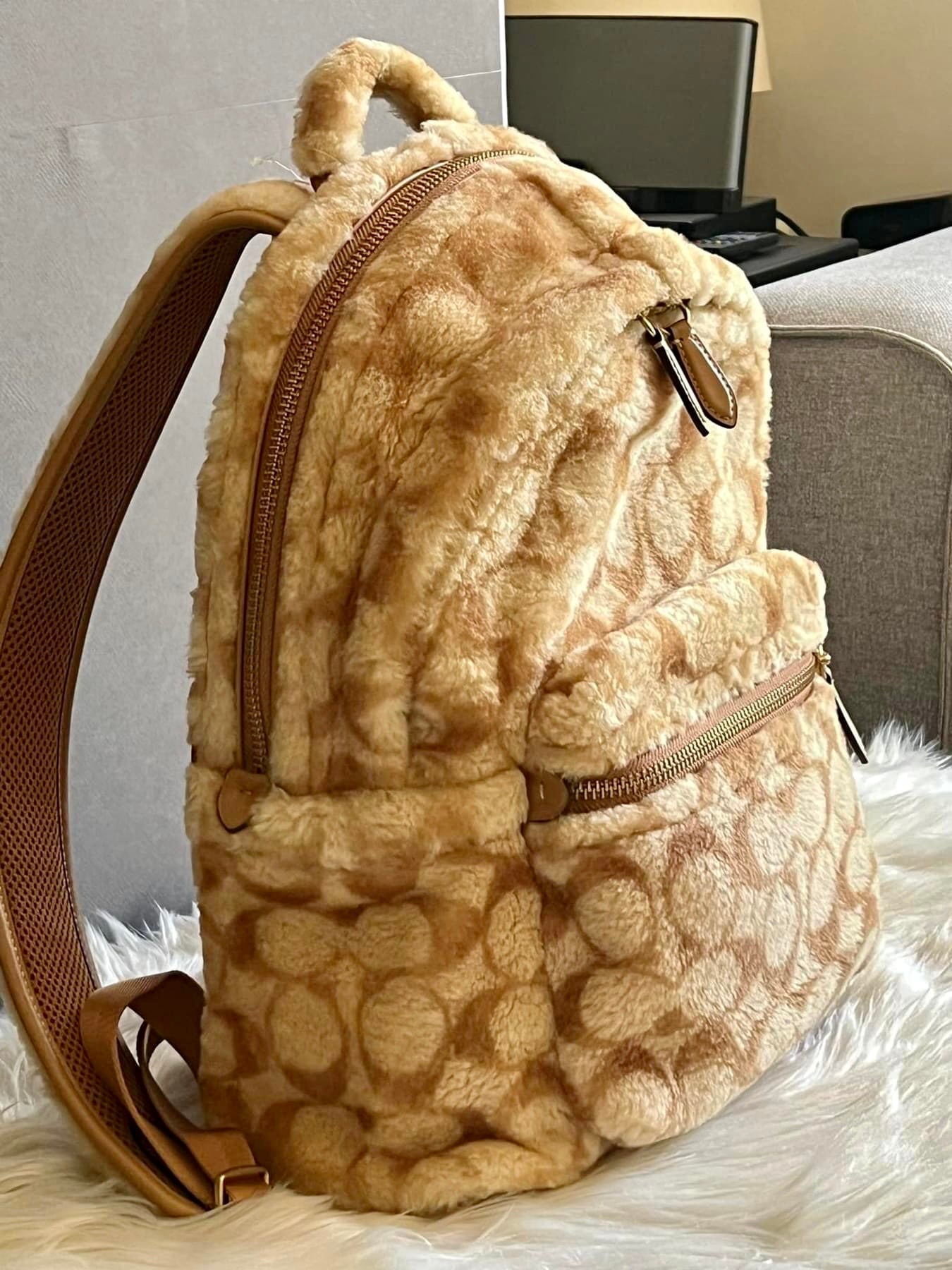 Coach Charter Backpack In Signature Shearling