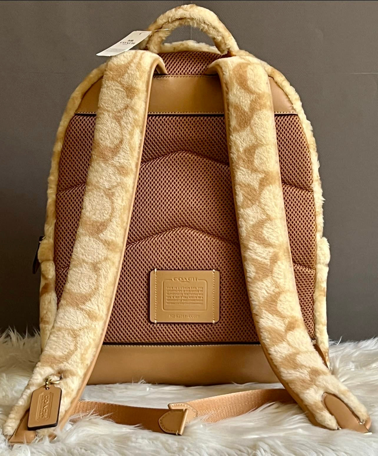 Coach Charter Backpack In Signature Shearling