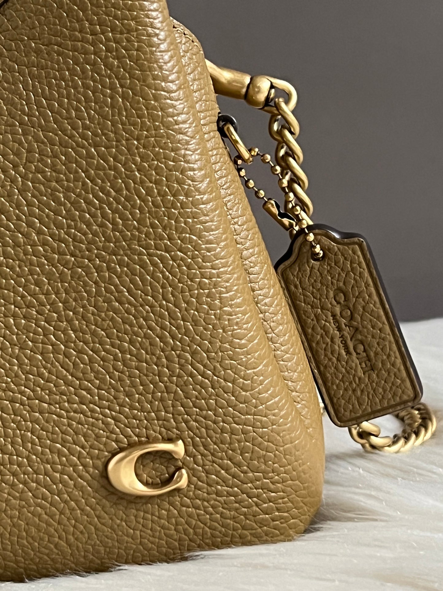 Coach Lana Shoulder Bag 19