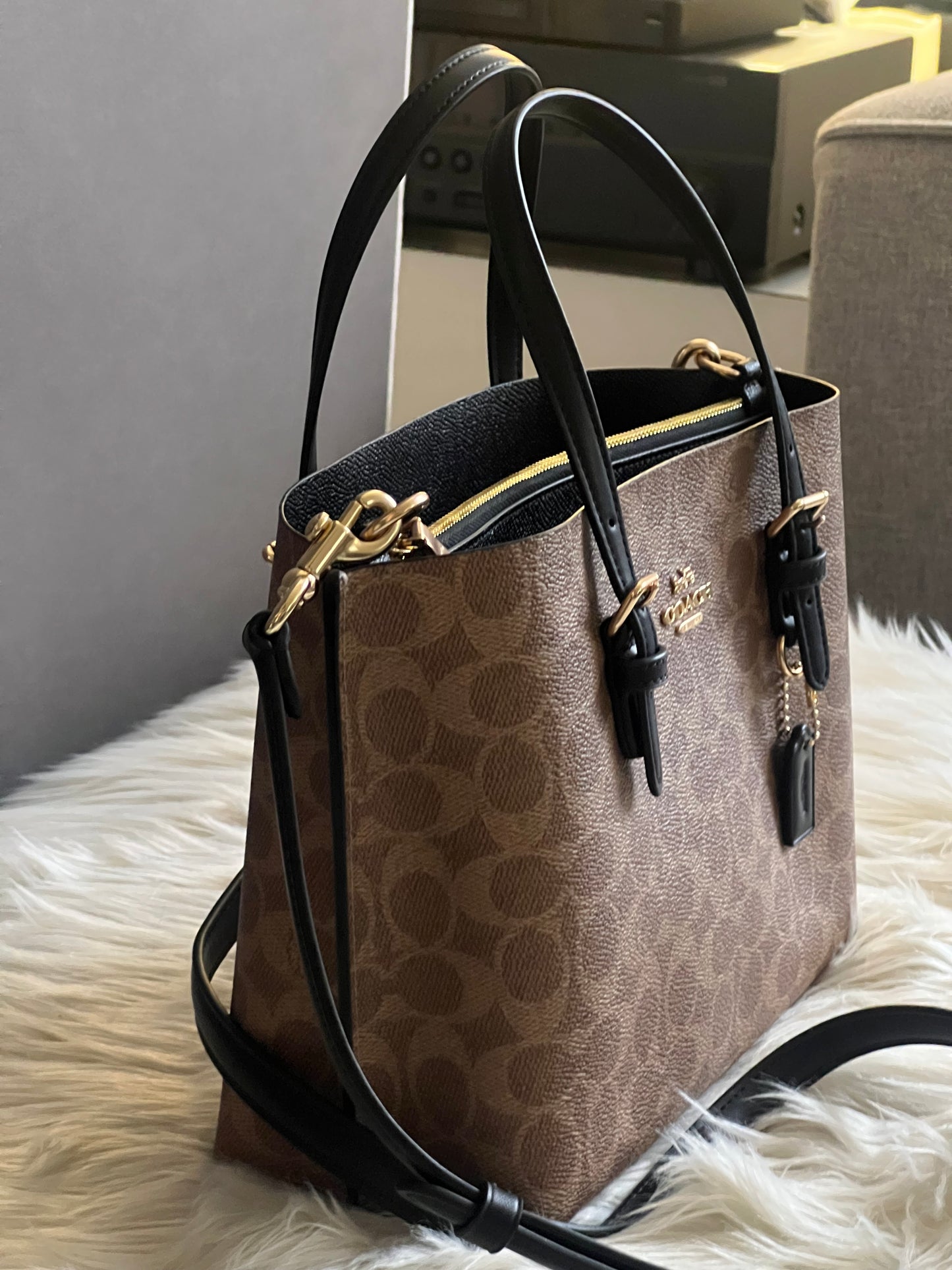 Coach Mollie Tote Bag 25 in Signature Canvas