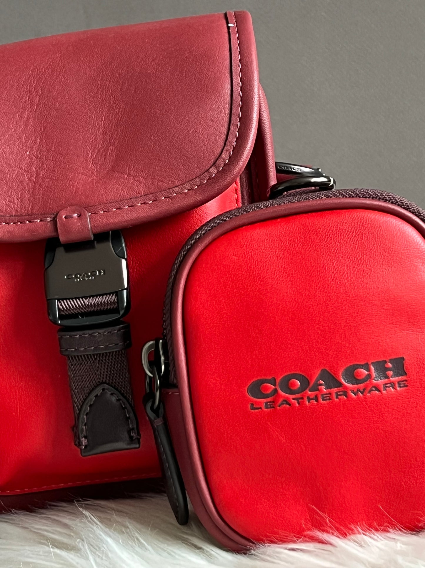 Coach Charter North/South Crossbody With Hybrid Pouch in Colorblock