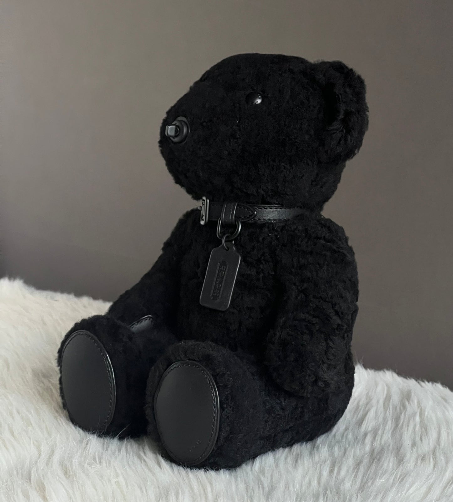 Coach Bear Collectible in Shearling